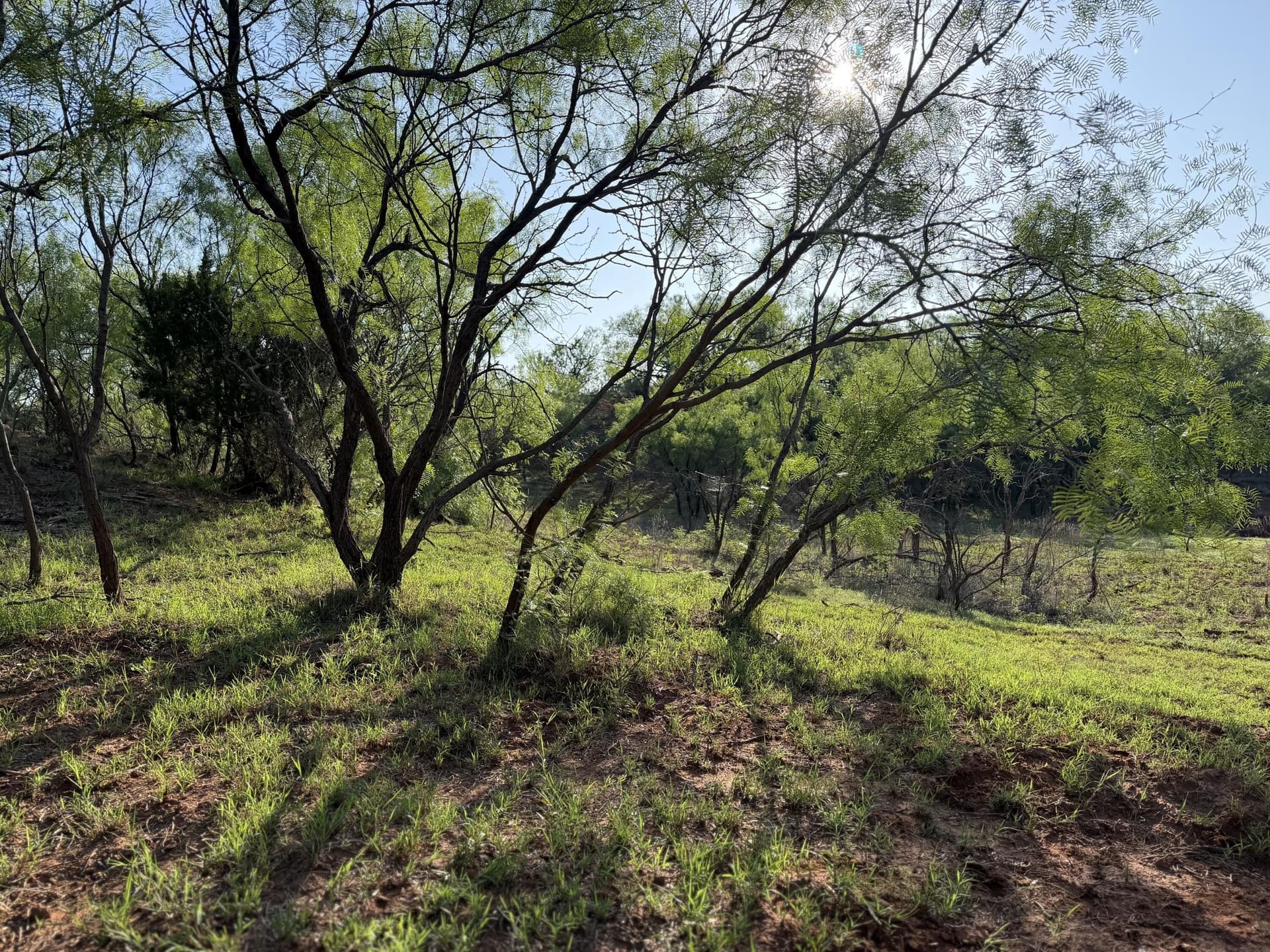 398.83 acres in Fisher County - photo 66