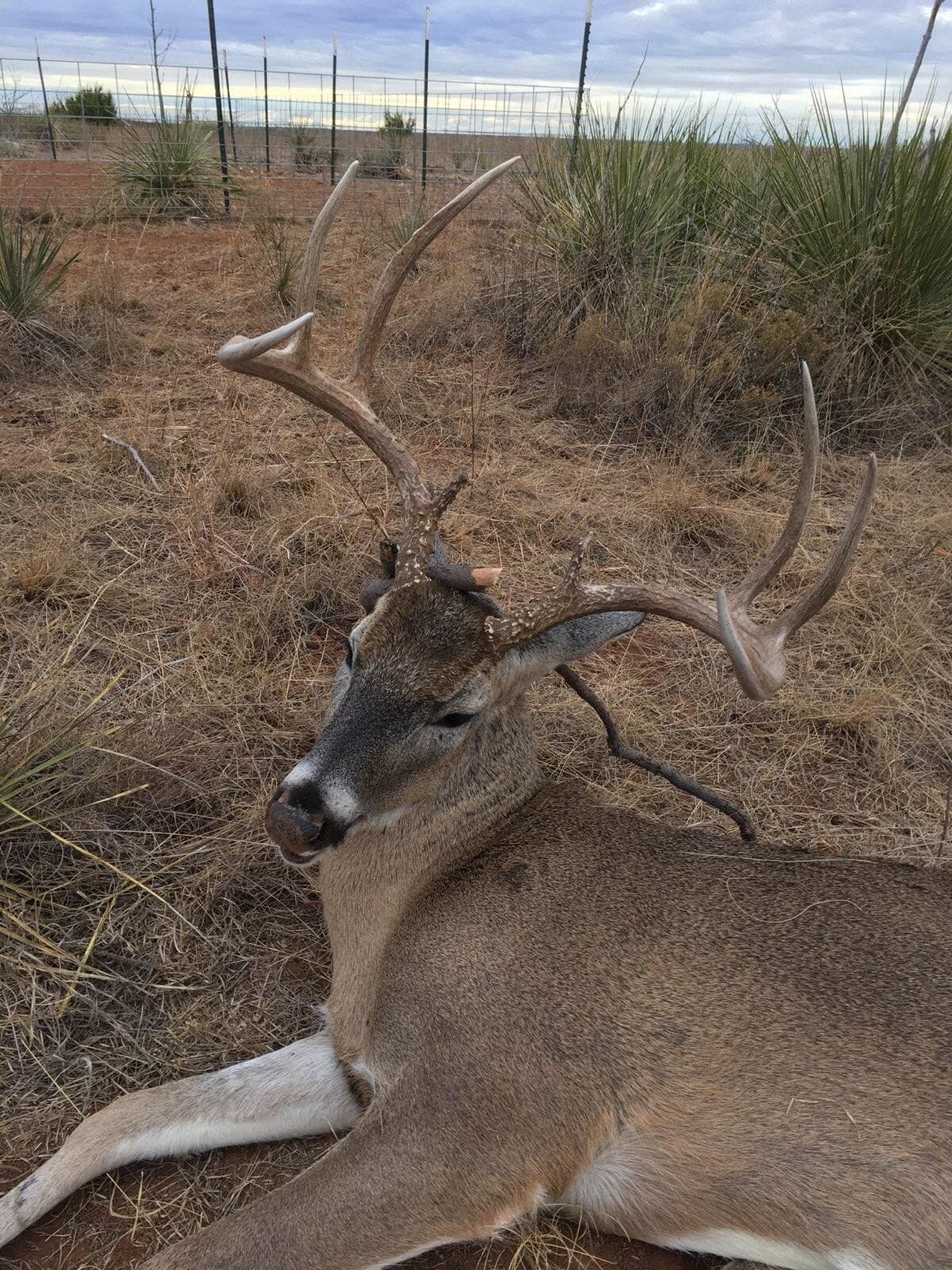 398.83 acres in Fisher County - photo 35