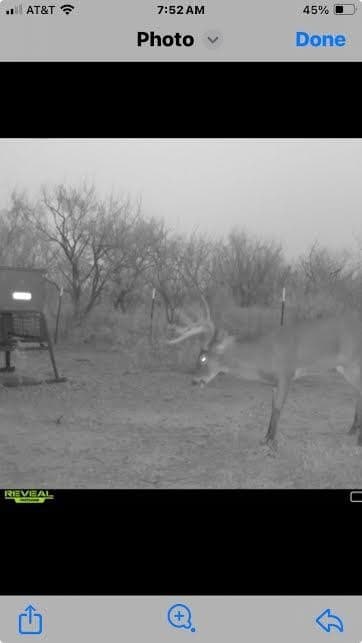 398.83 acres in Fisher County - photo 23