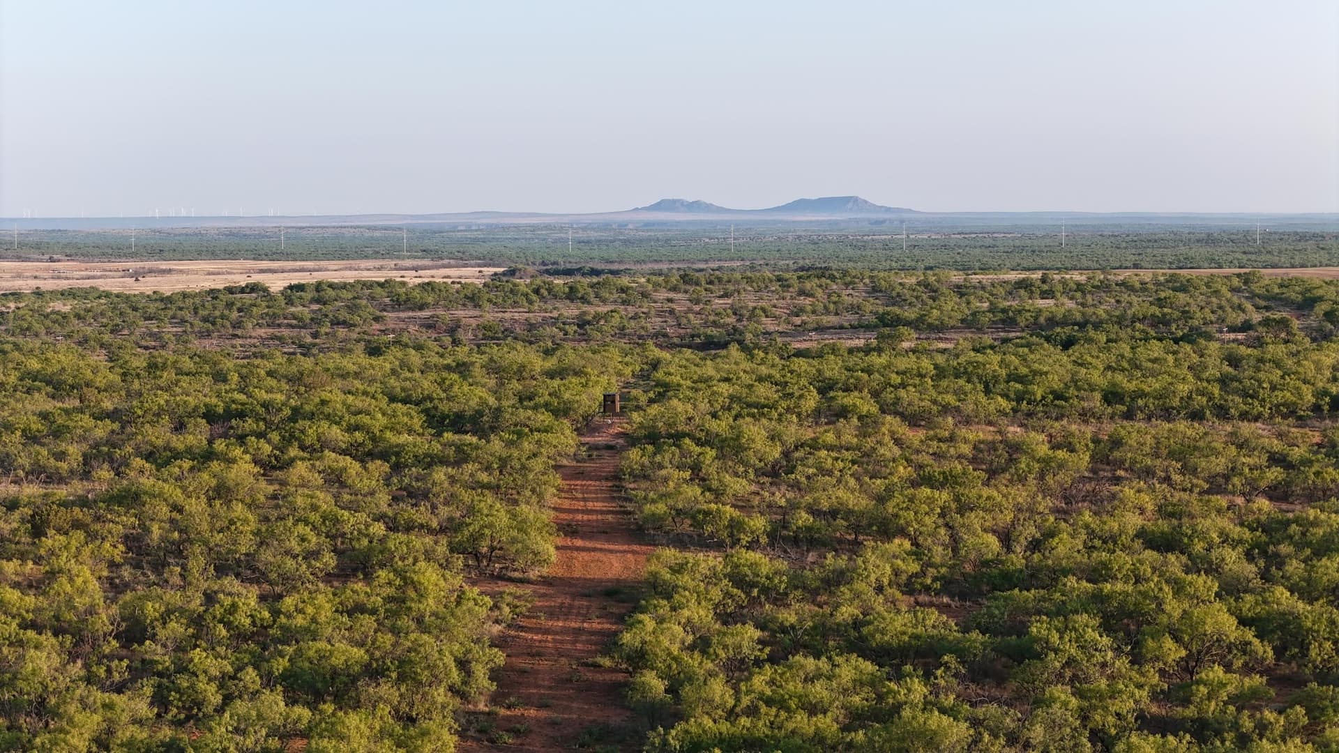 398.83 acres in Fisher County gallery image 4