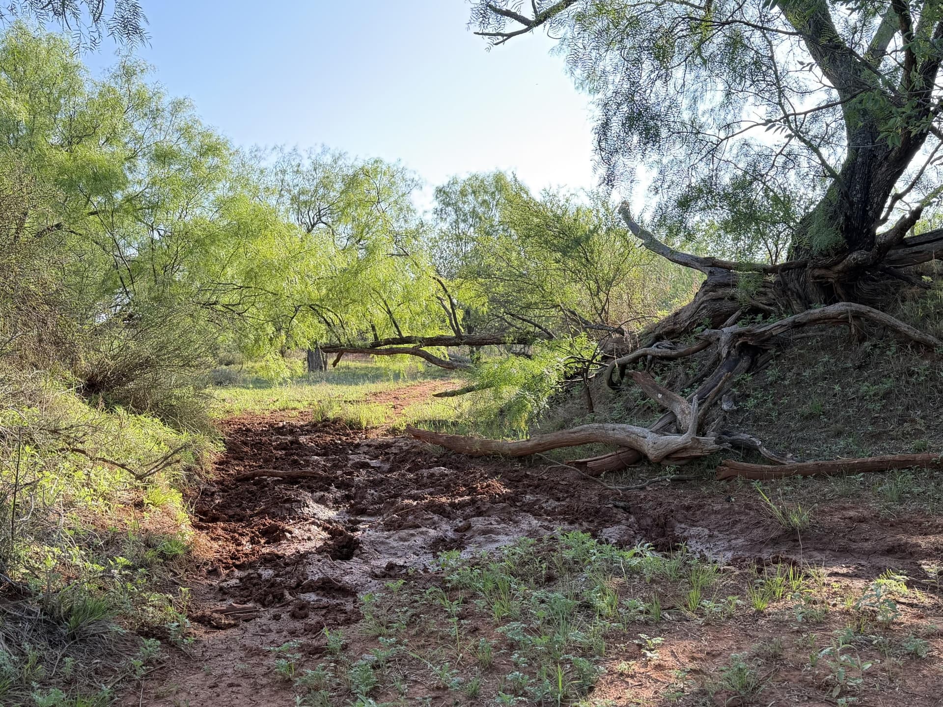 398.83 acres in Fisher County - photo 32