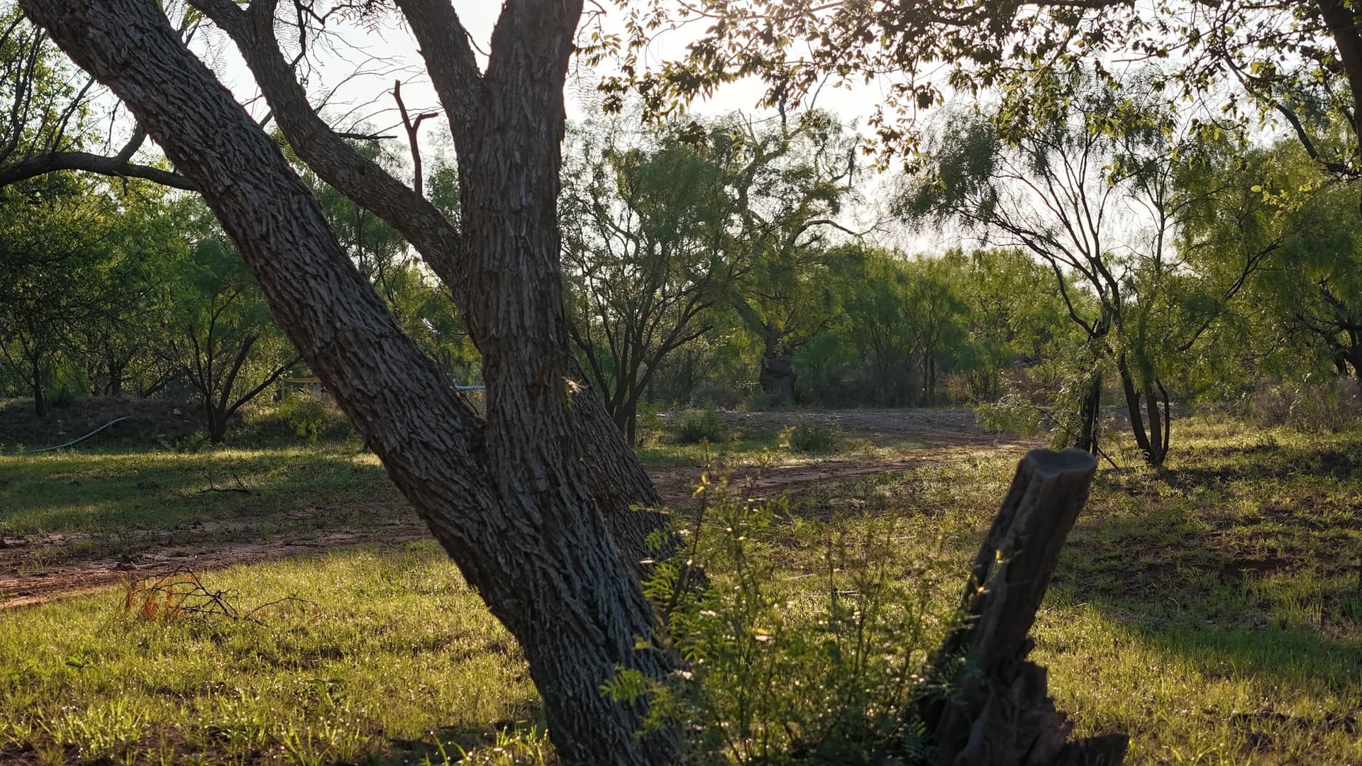 398.83 acres in Fisher County - photo 60