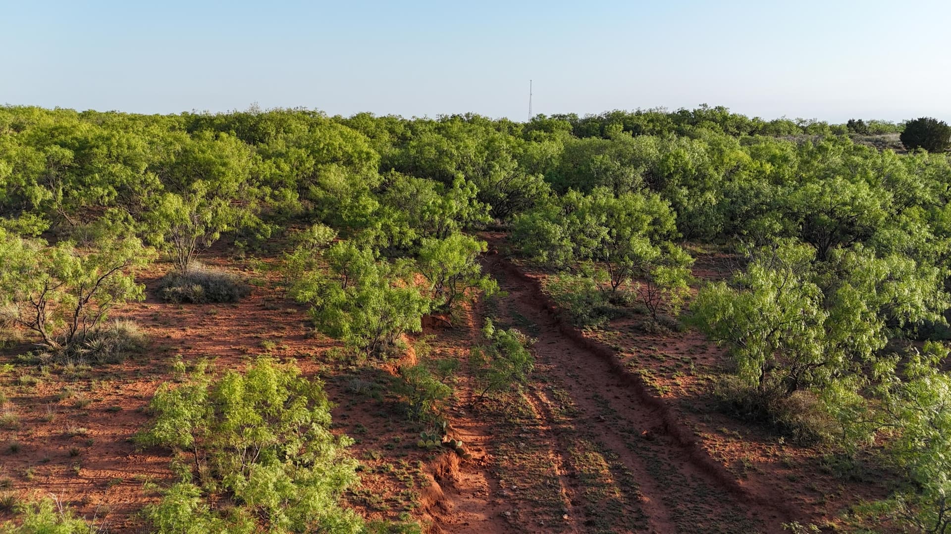 398.83 acres in Fisher County - photo 57