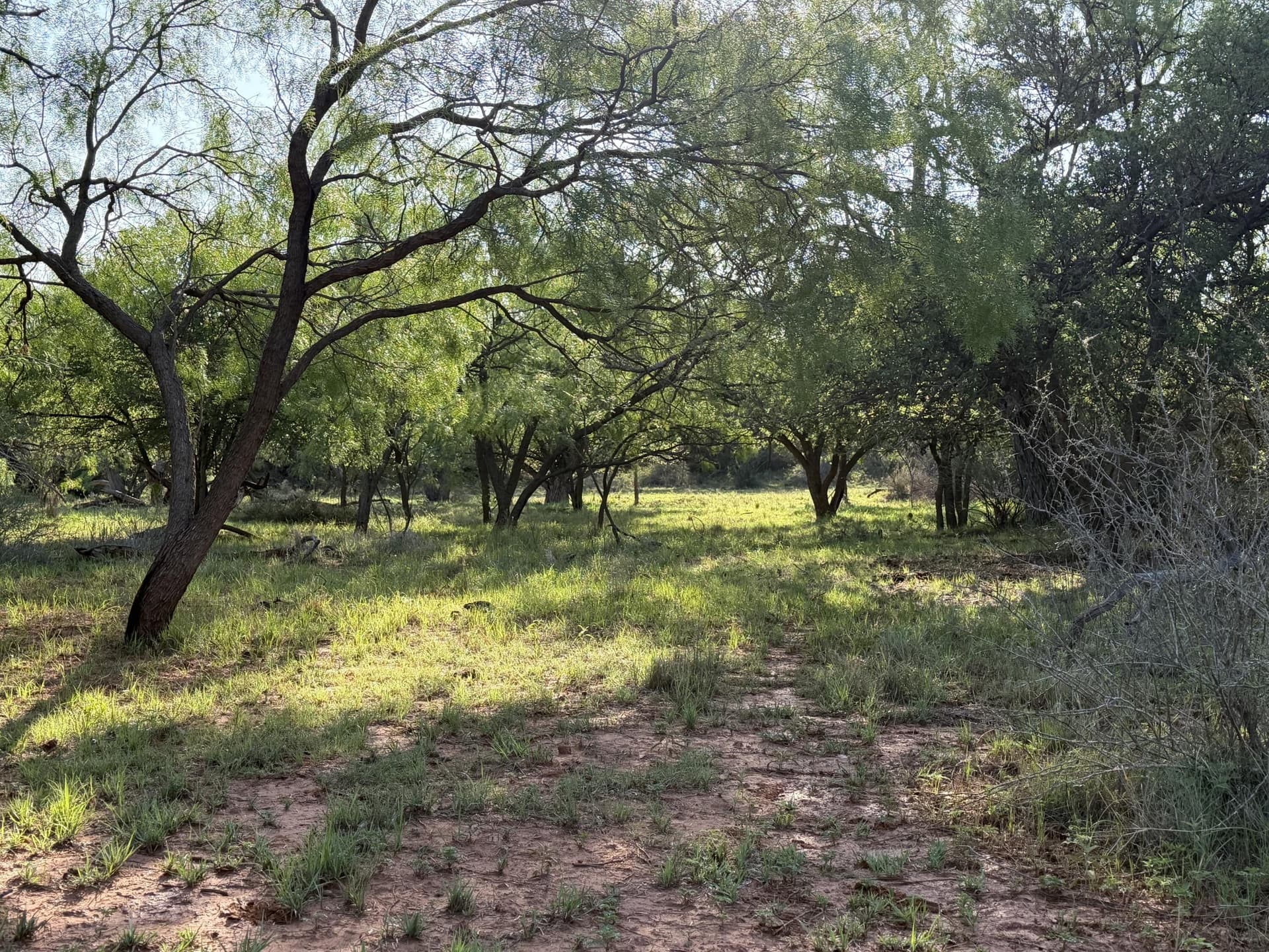 398.83 acres in Fisher County - photo 26