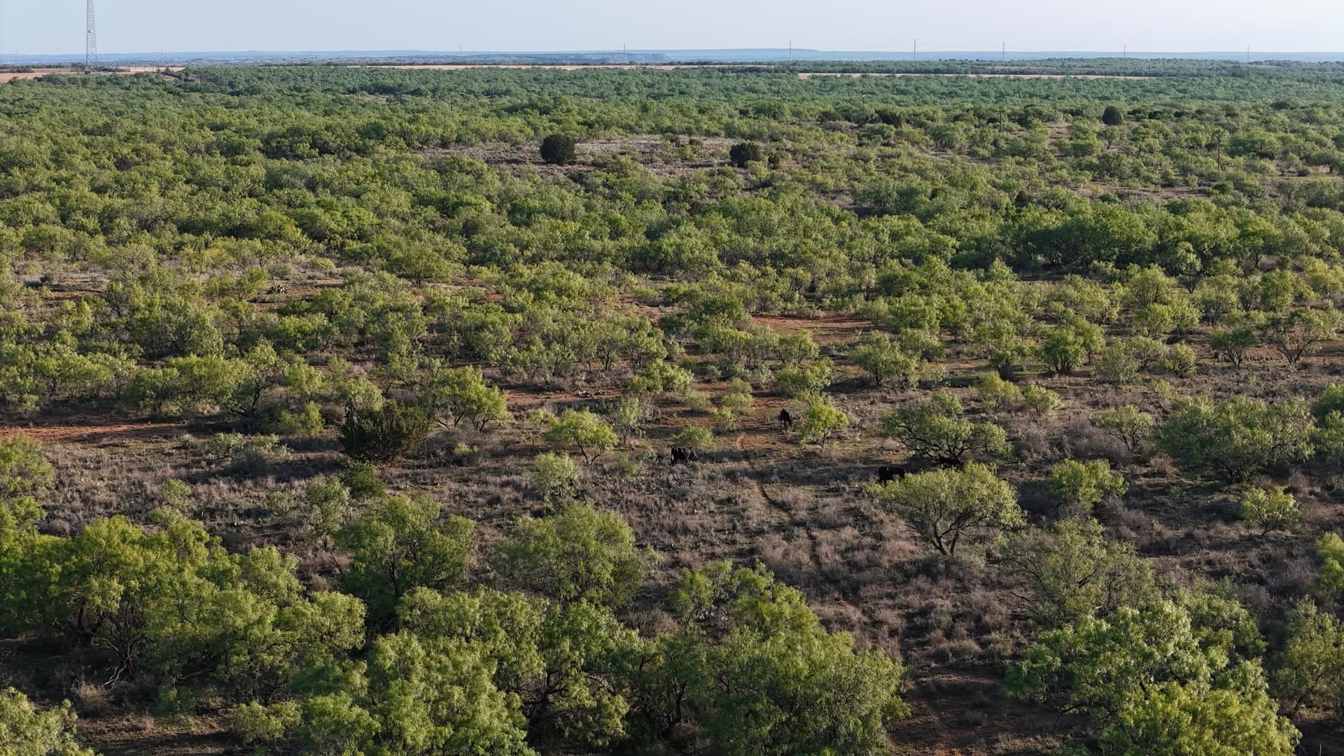 398.83 acres in Fisher County - photo 63