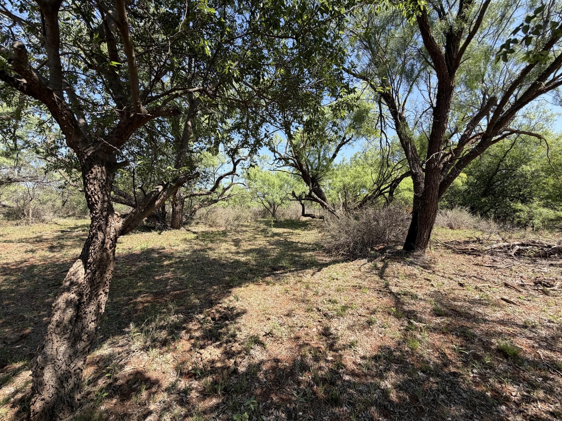 398.83 acres in Fisher County - photo 69