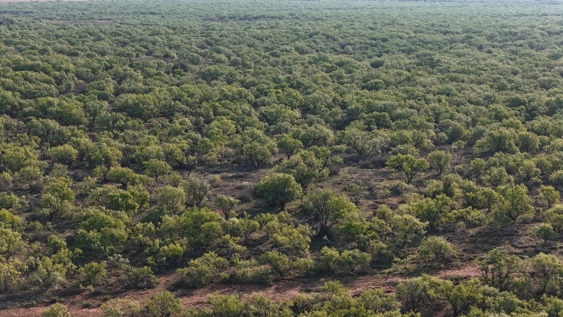 398.83 acres in Fisher County - photo 62