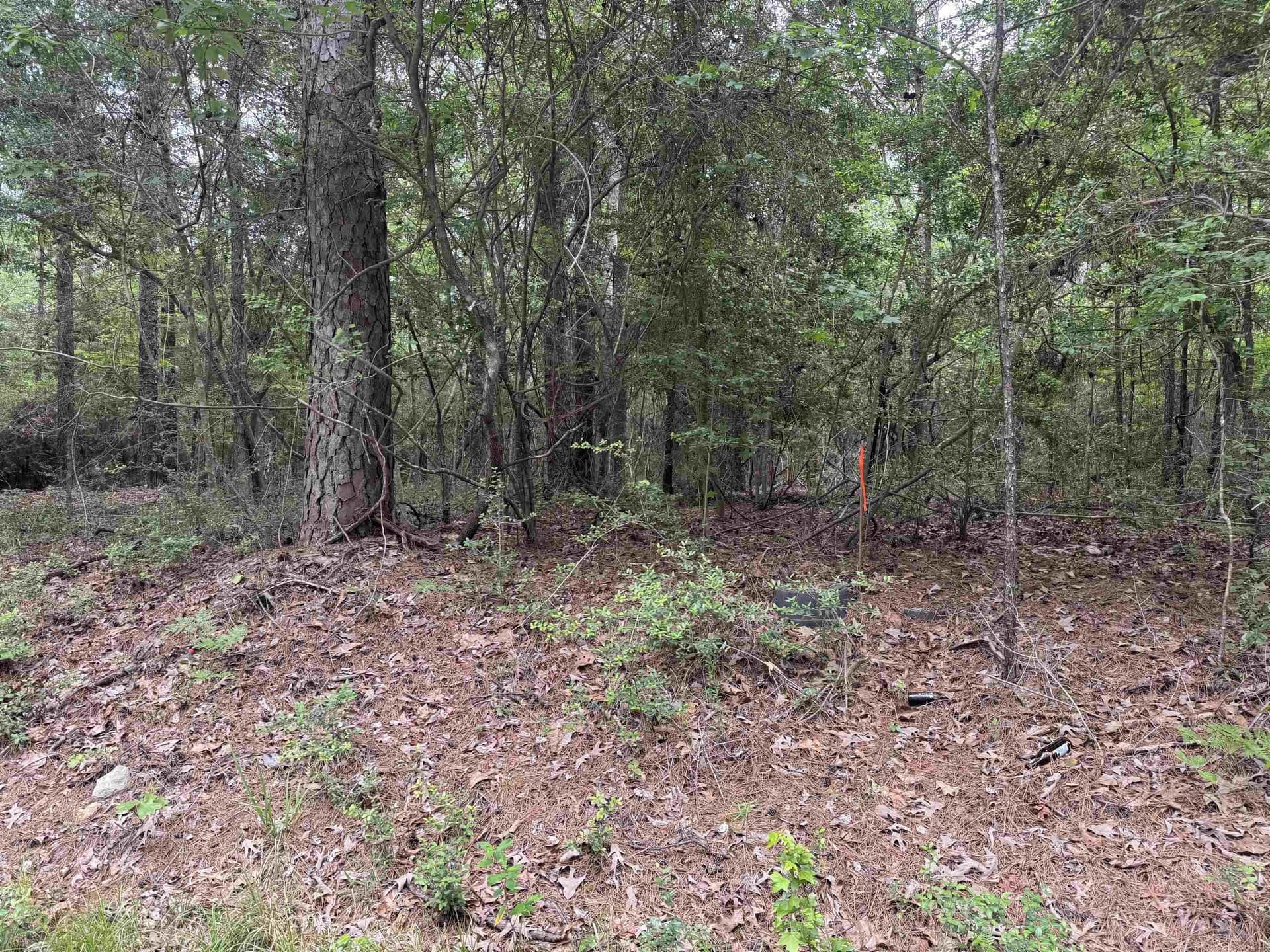0.48 acres in Texas County