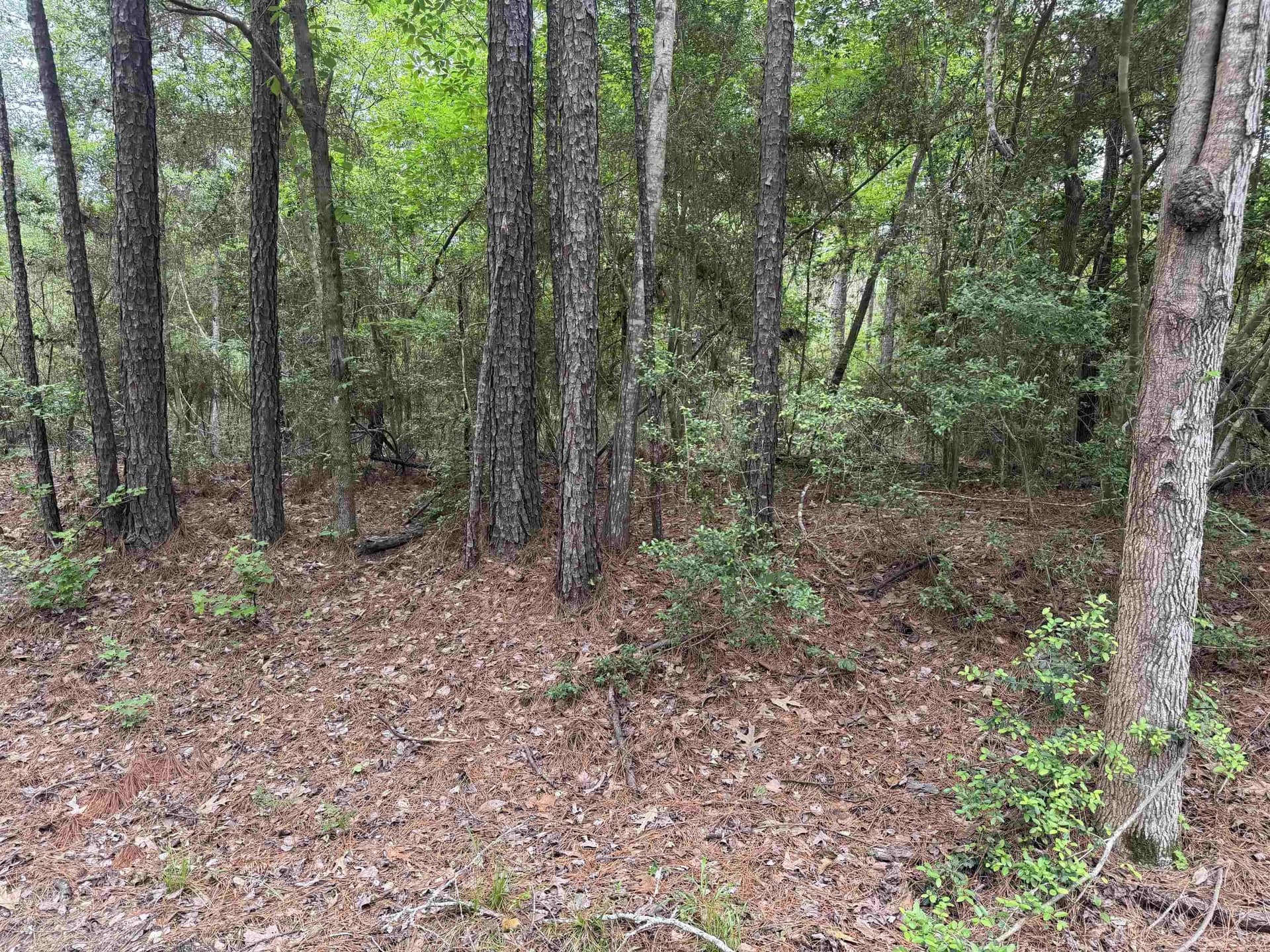 0.48 acres in Texas County gallery image 4