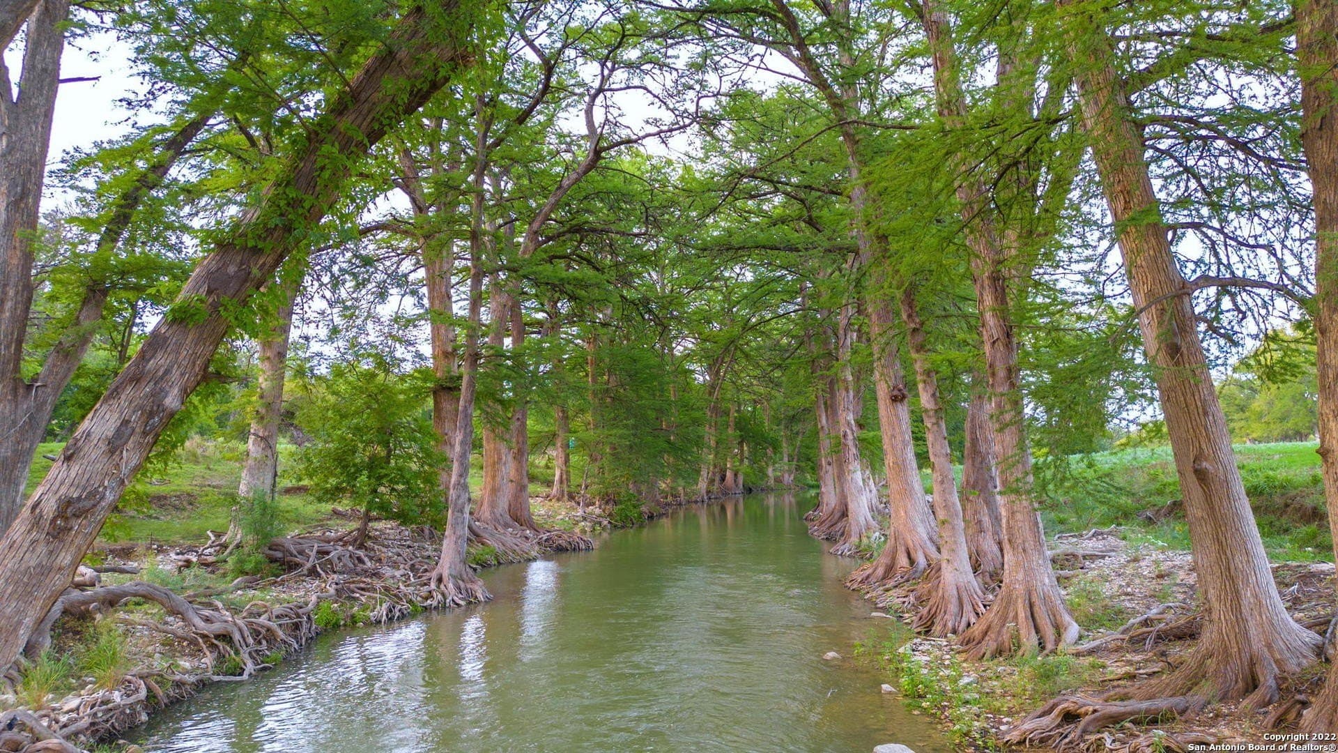 28.77 acres in Kendall County gallery image 2