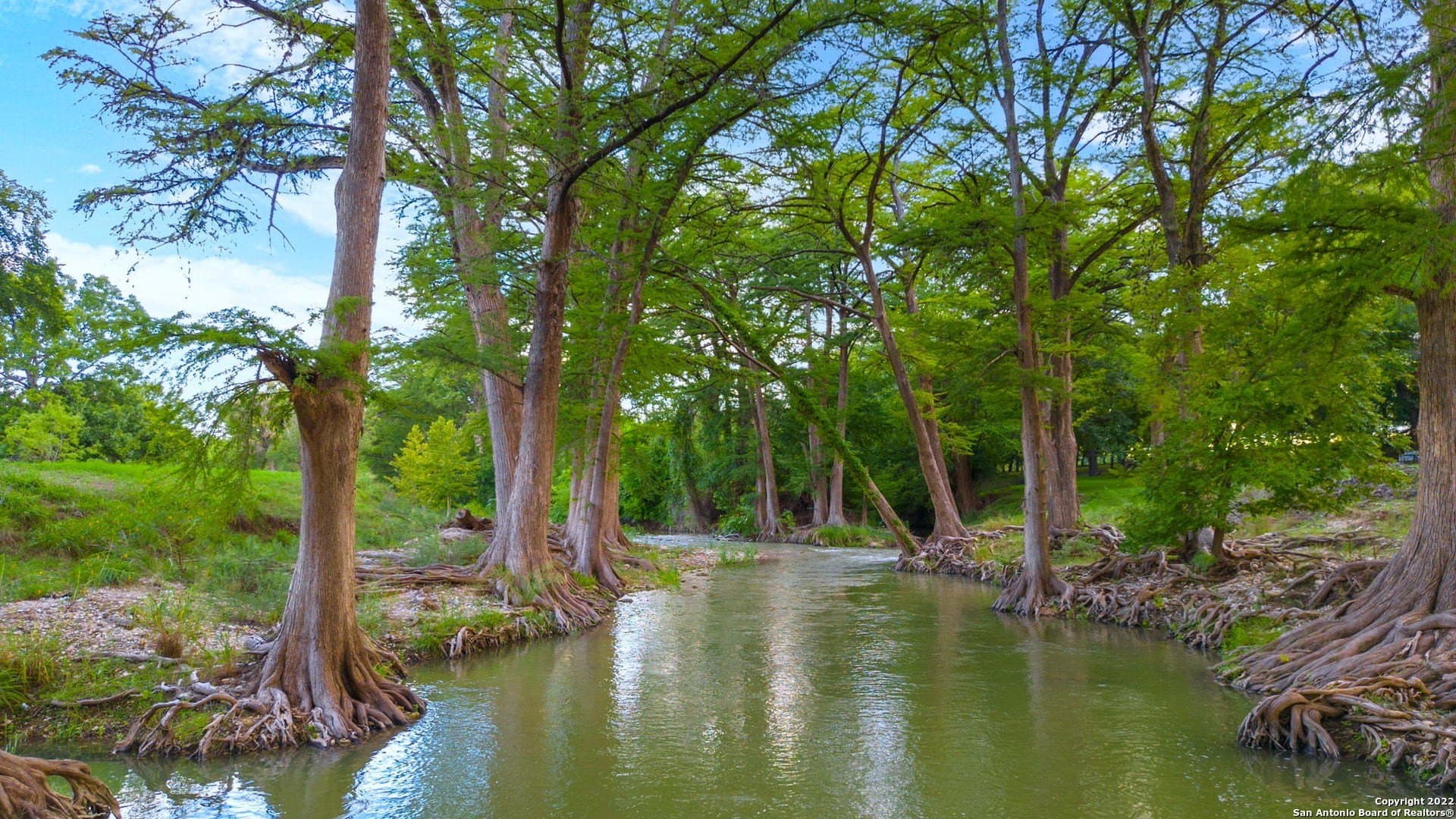 28.77 acres in Kendall County gallery image 3