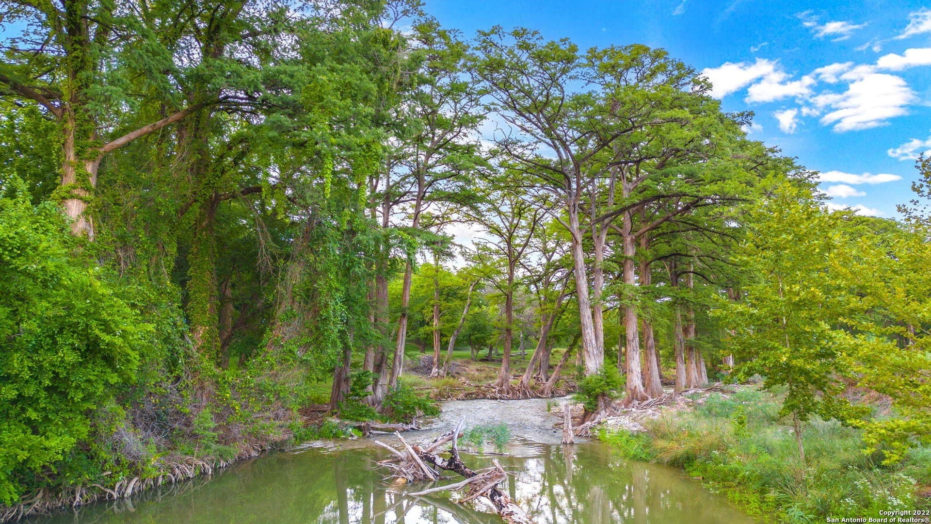 28.77 acres in Kendall County gallery image 4