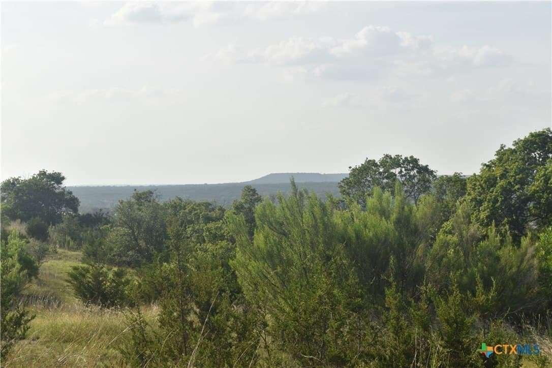 100 acres in Bell County - photo 13