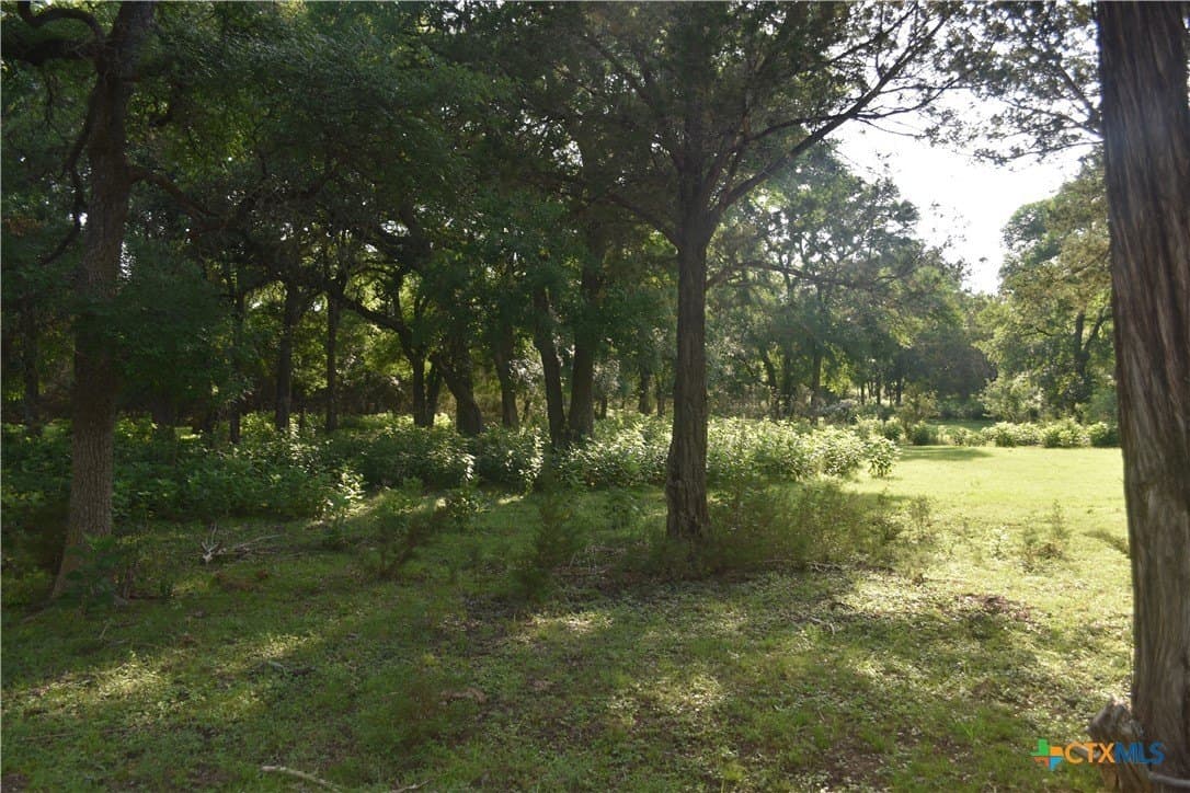 100 acres in Bell County gallery image 3