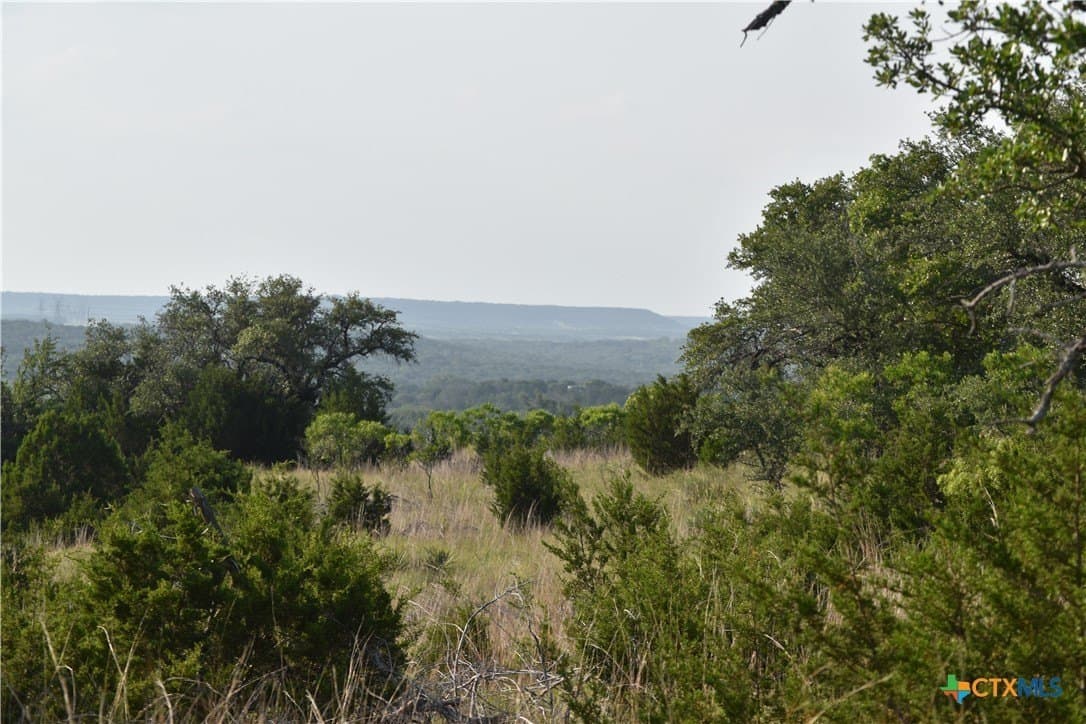 100 acres in Bell County - photo 16