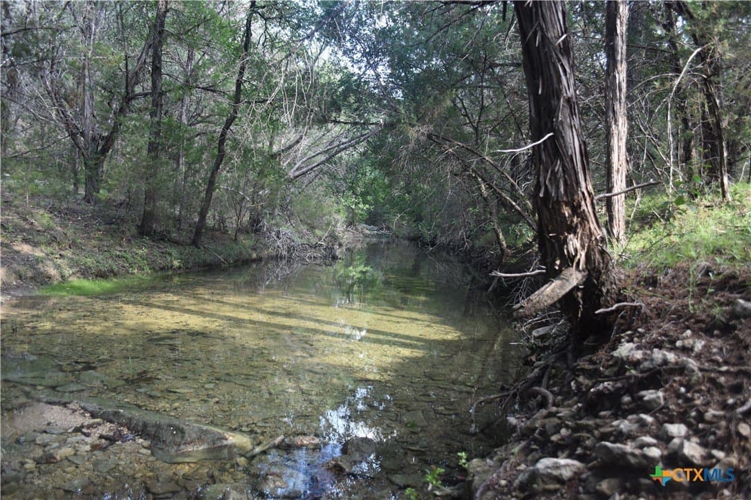 100 acres in Bell County featured view