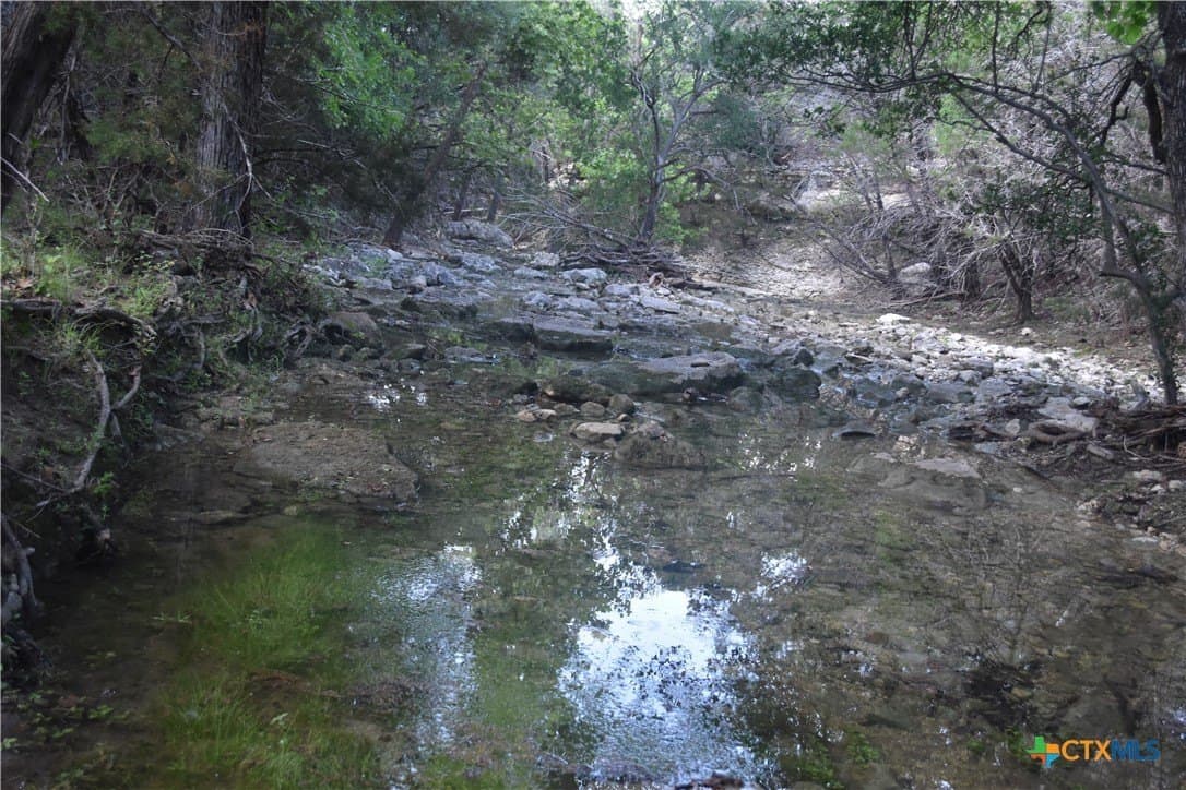 100 acres in Bell County - photo 6