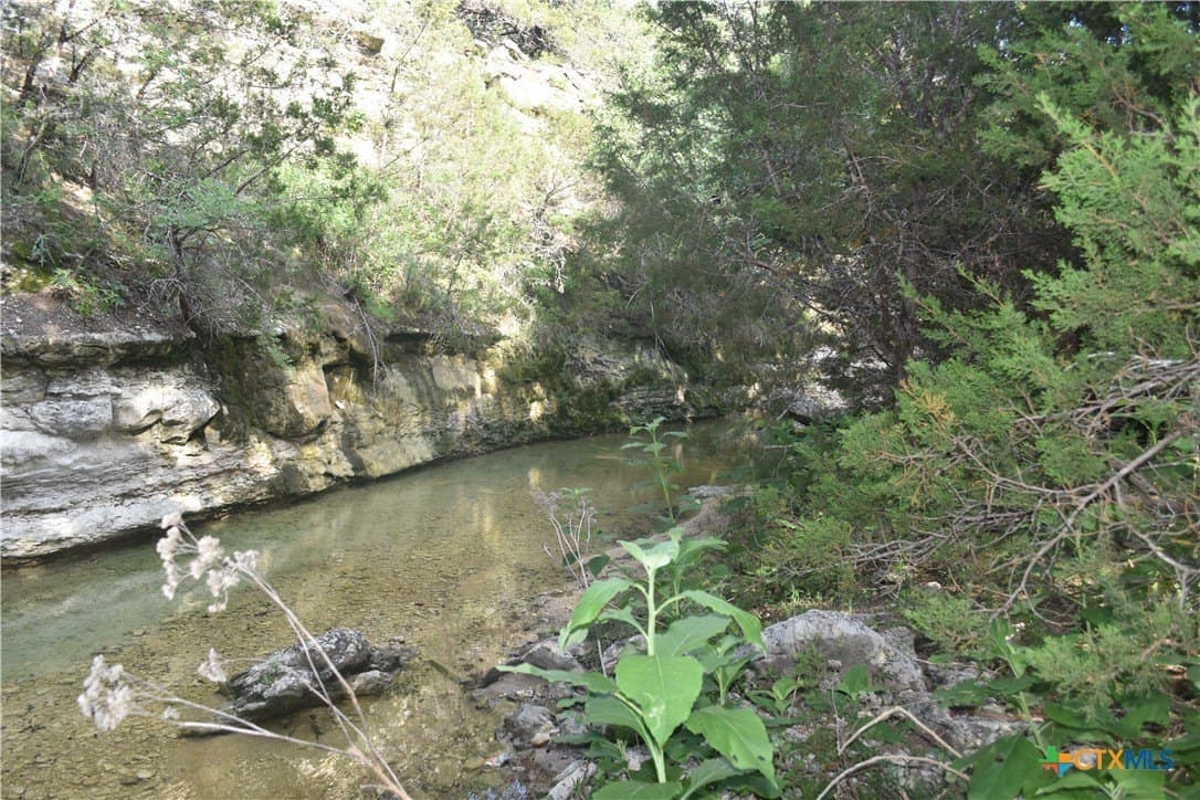 100 acres in Bell County - photo 9