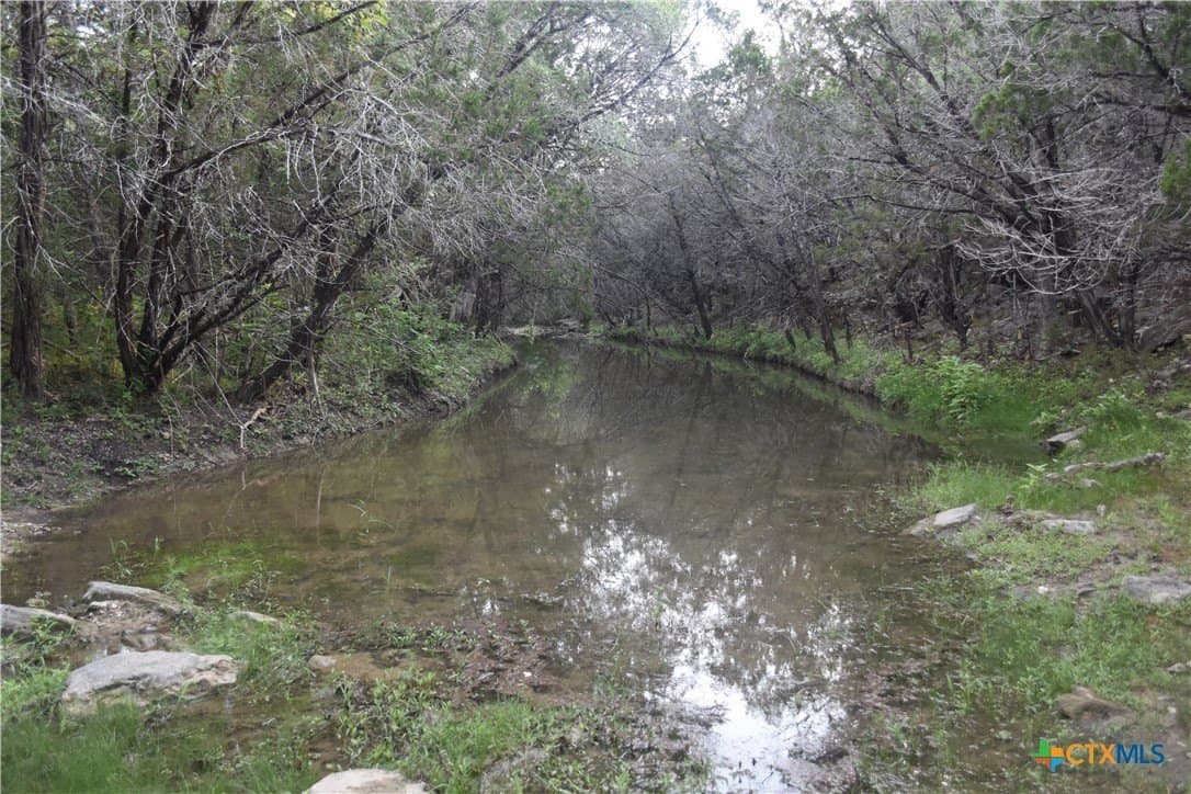 100 acres in Bell County - photo 12