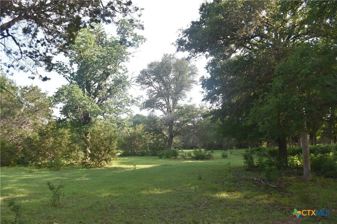100 acres in Bell County gallery image 4