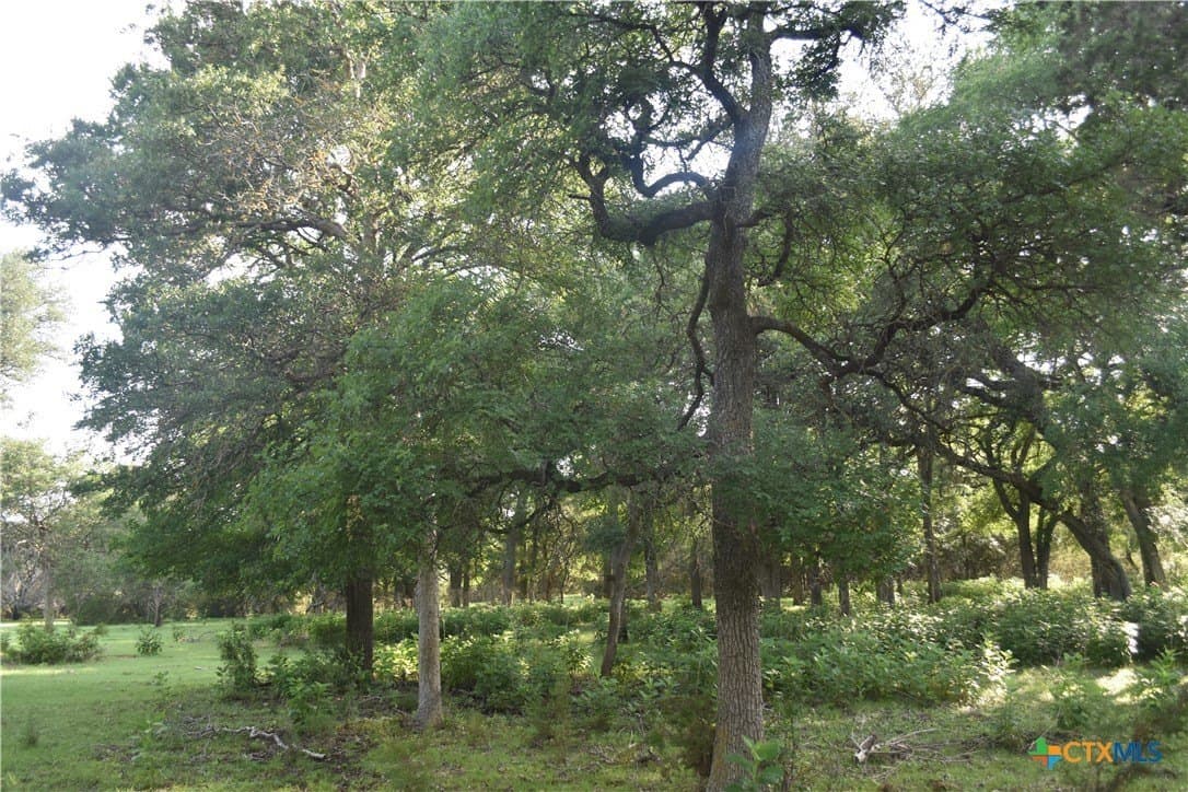 100 acres in Bell County gallery image 2