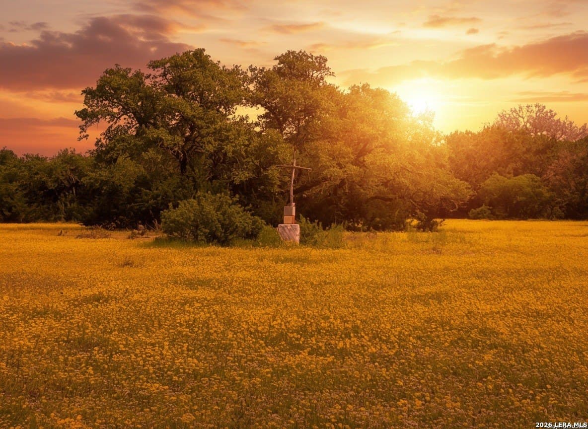 32 acres in Comal County - photo 16