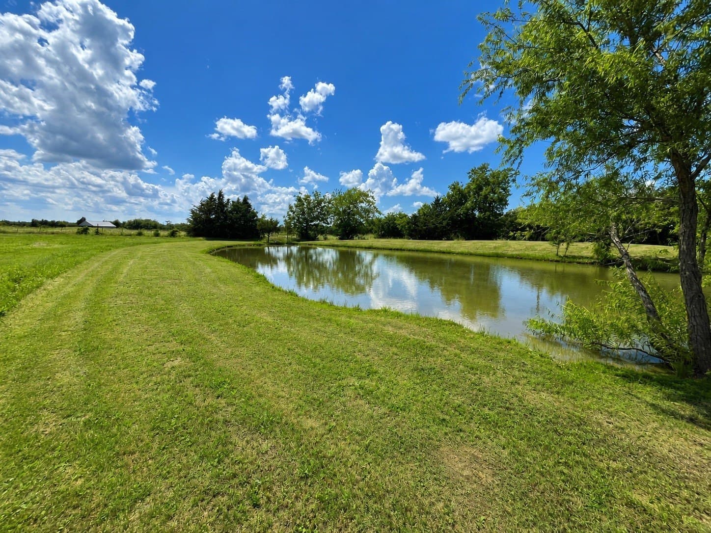 6.1 acres in Grayson County - photo 7