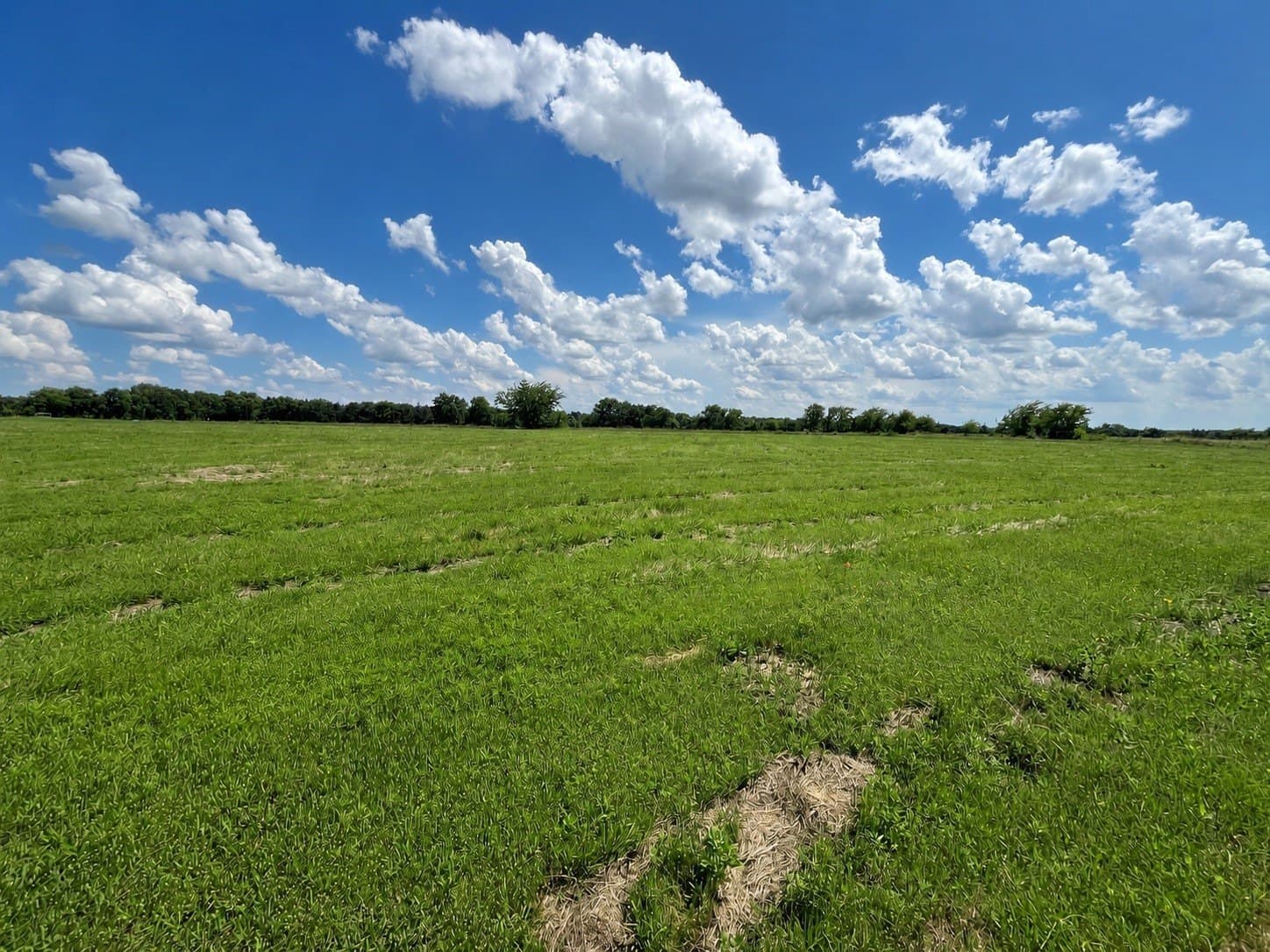 6.1 acres in Grayson County - photo 17