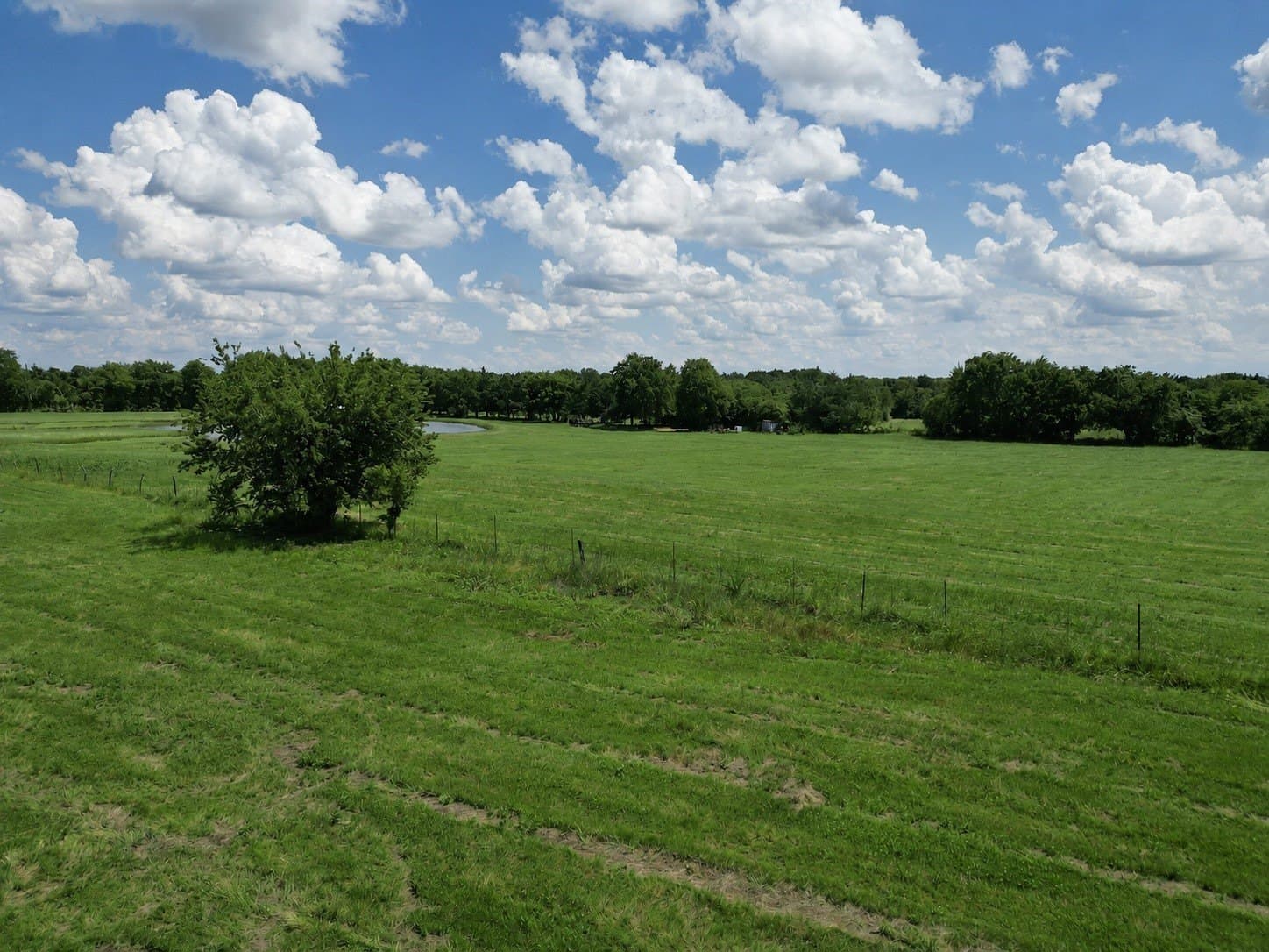 6.1 acres in Grayson County - photo 21
