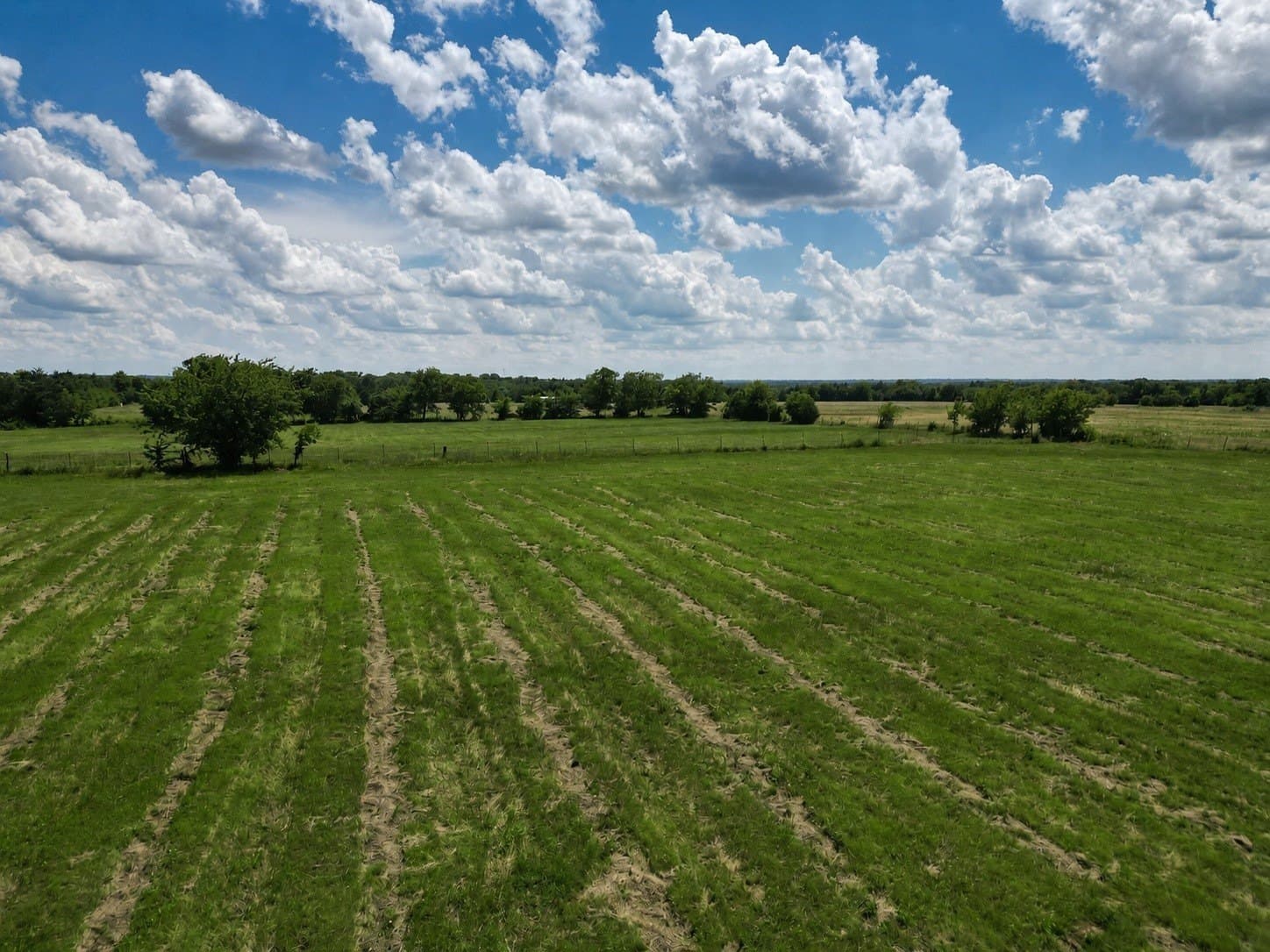 6.1 acres in Grayson County - photo 22