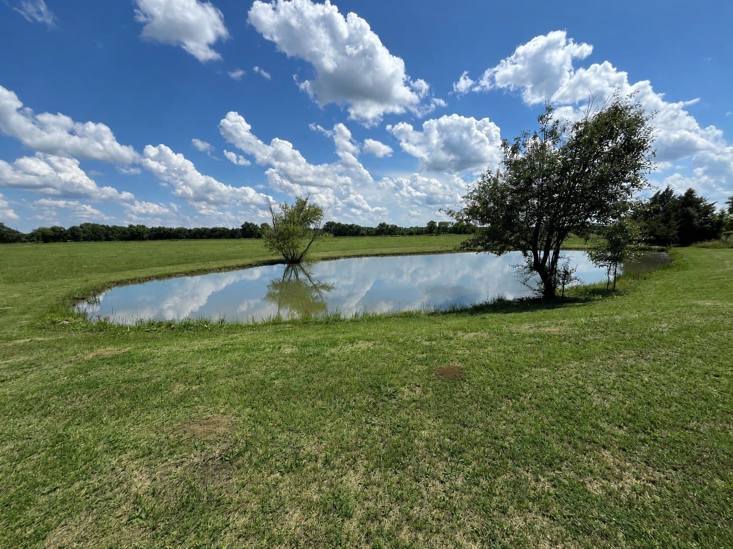 6.1 acres in Grayson County - photo 9
