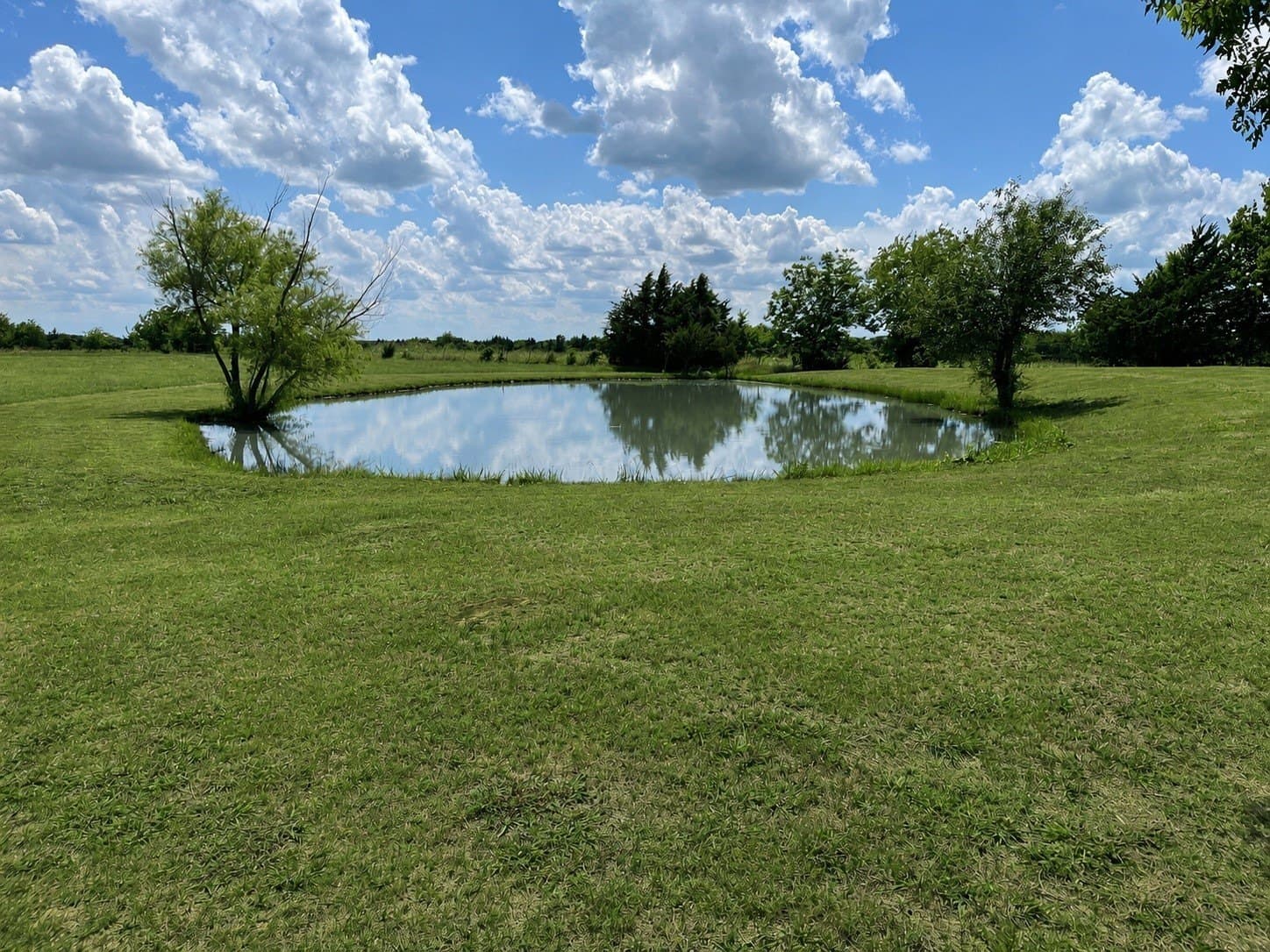 6.1 acres in Grayson County - photo 8