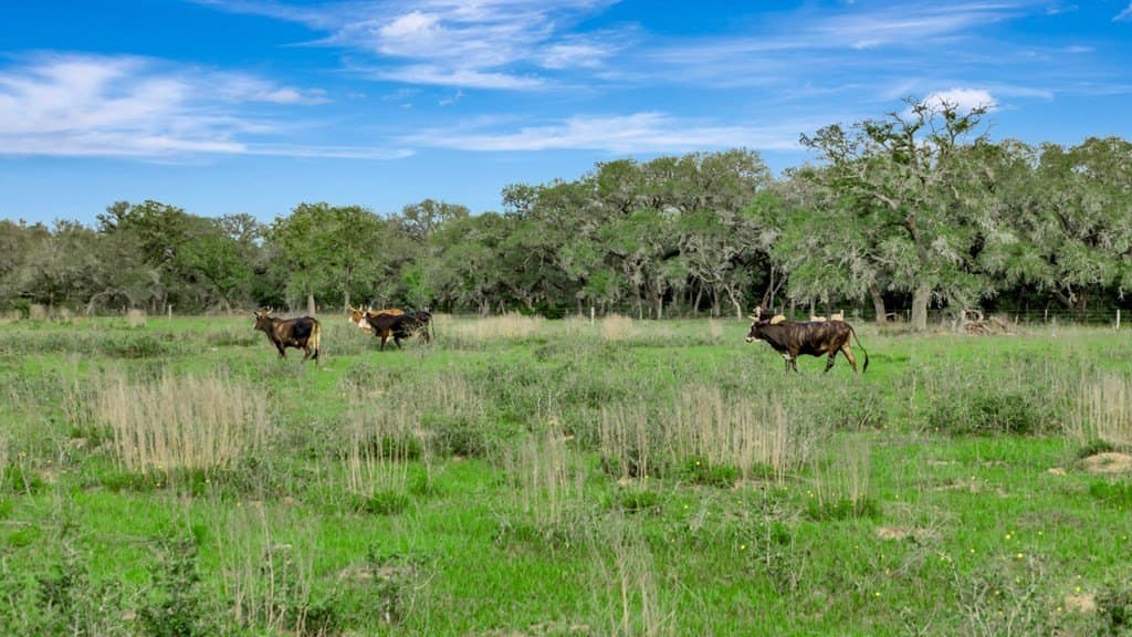 158.75 acres in Texas County - photo 14