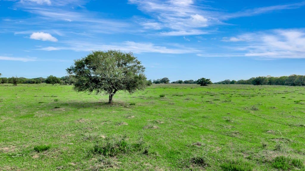 158.75 acres in Texas County - photo 9