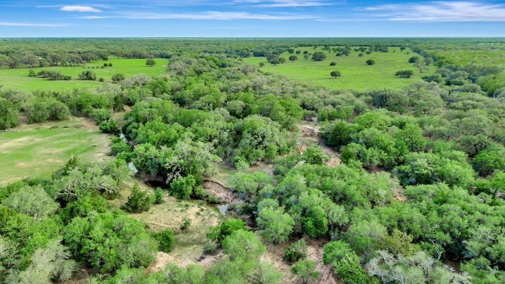 158.75 acres in Texas County - photo 6