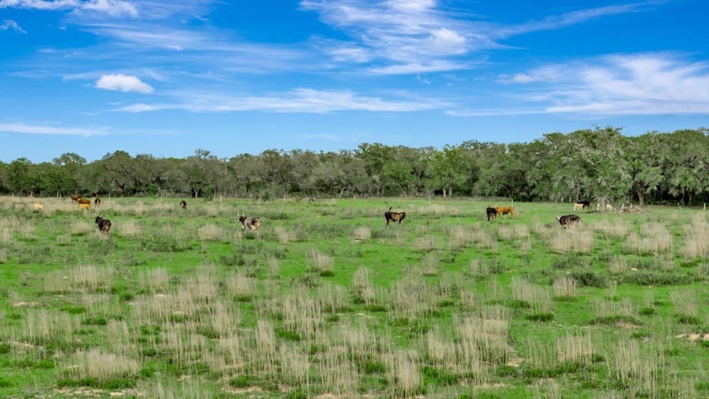 158.75 acres in Texas County - photo 13
