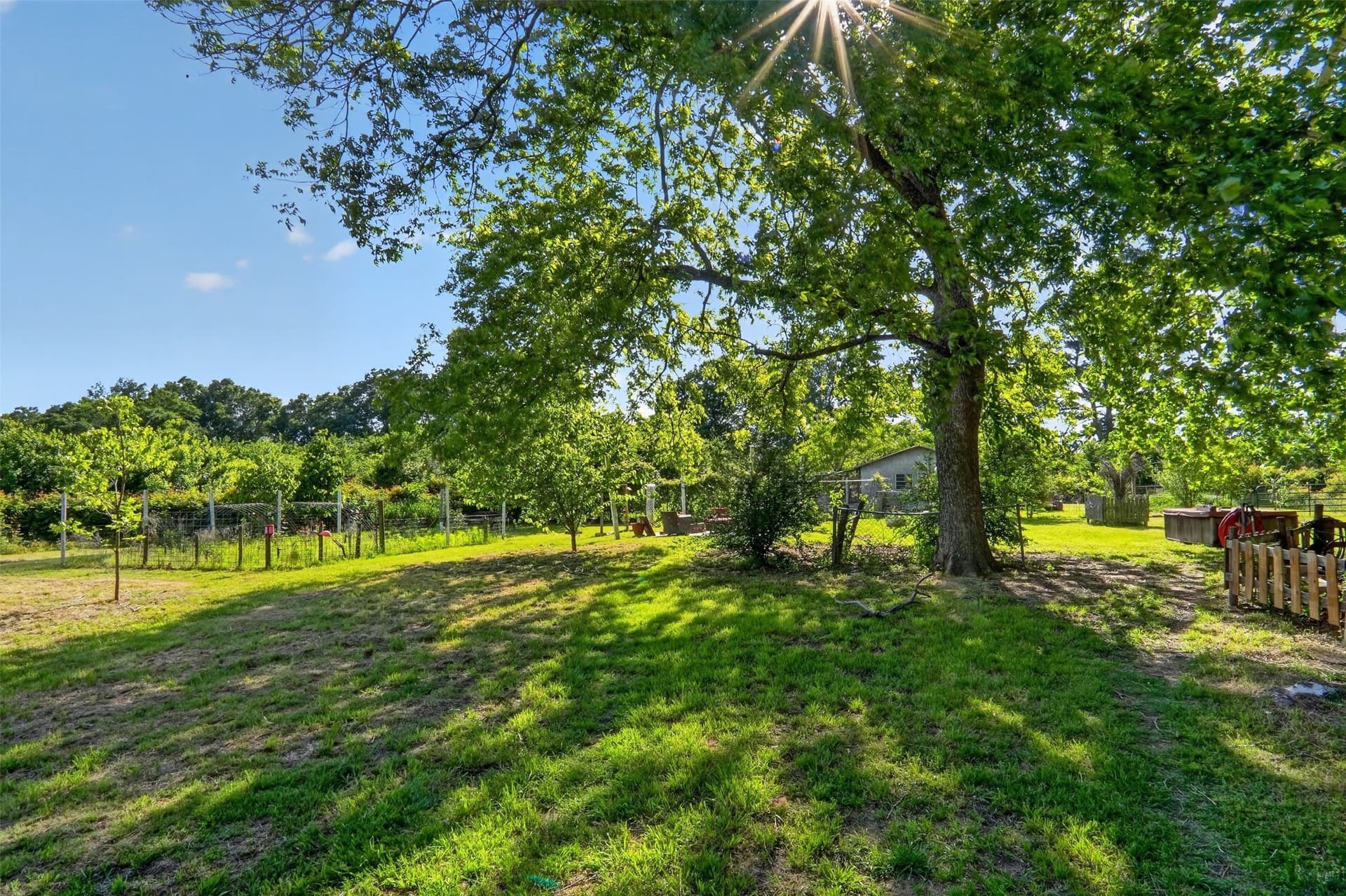 12.62 acres in Lamar County - photo 24