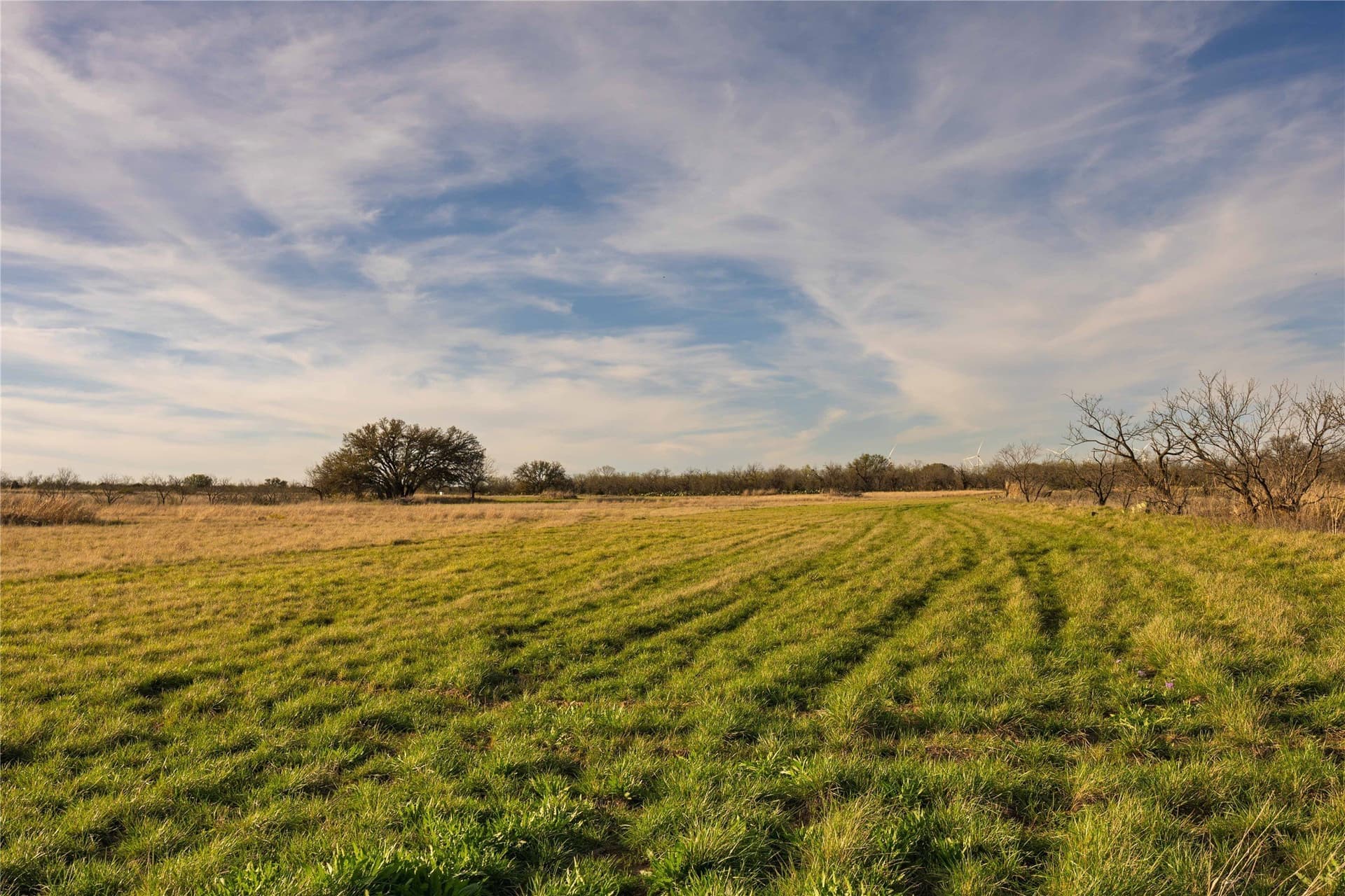 196 acres in McCulloch County - photo 13