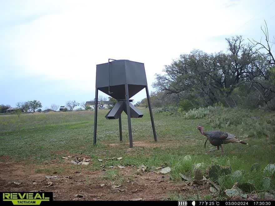 196 acres in McCulloch County - photo 32