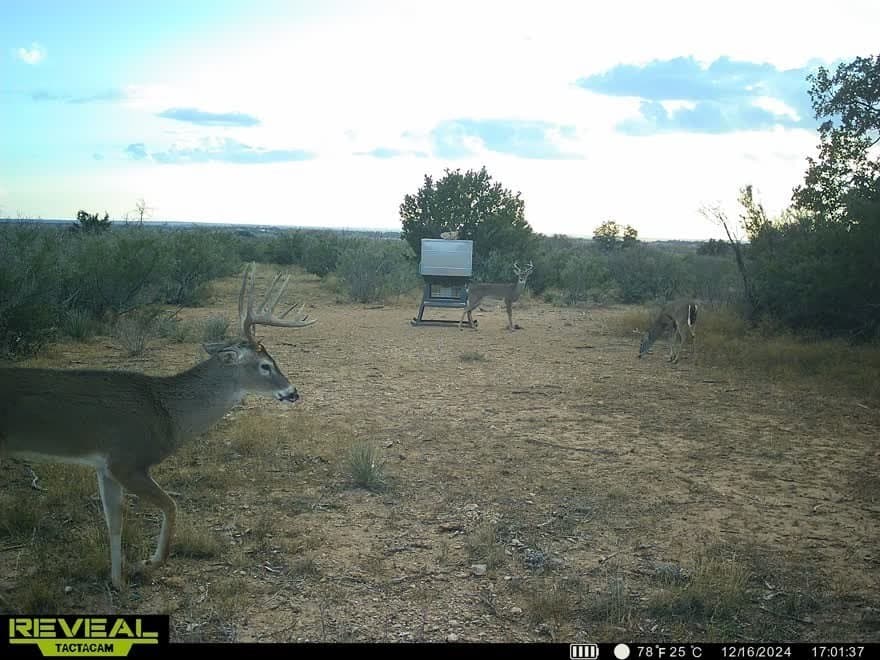 196 acres in McCulloch County - photo 34