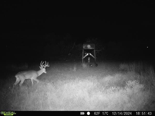 196 acres in McCulloch County - photo 33