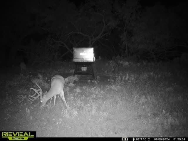 196 acres in McCulloch County - photo 36