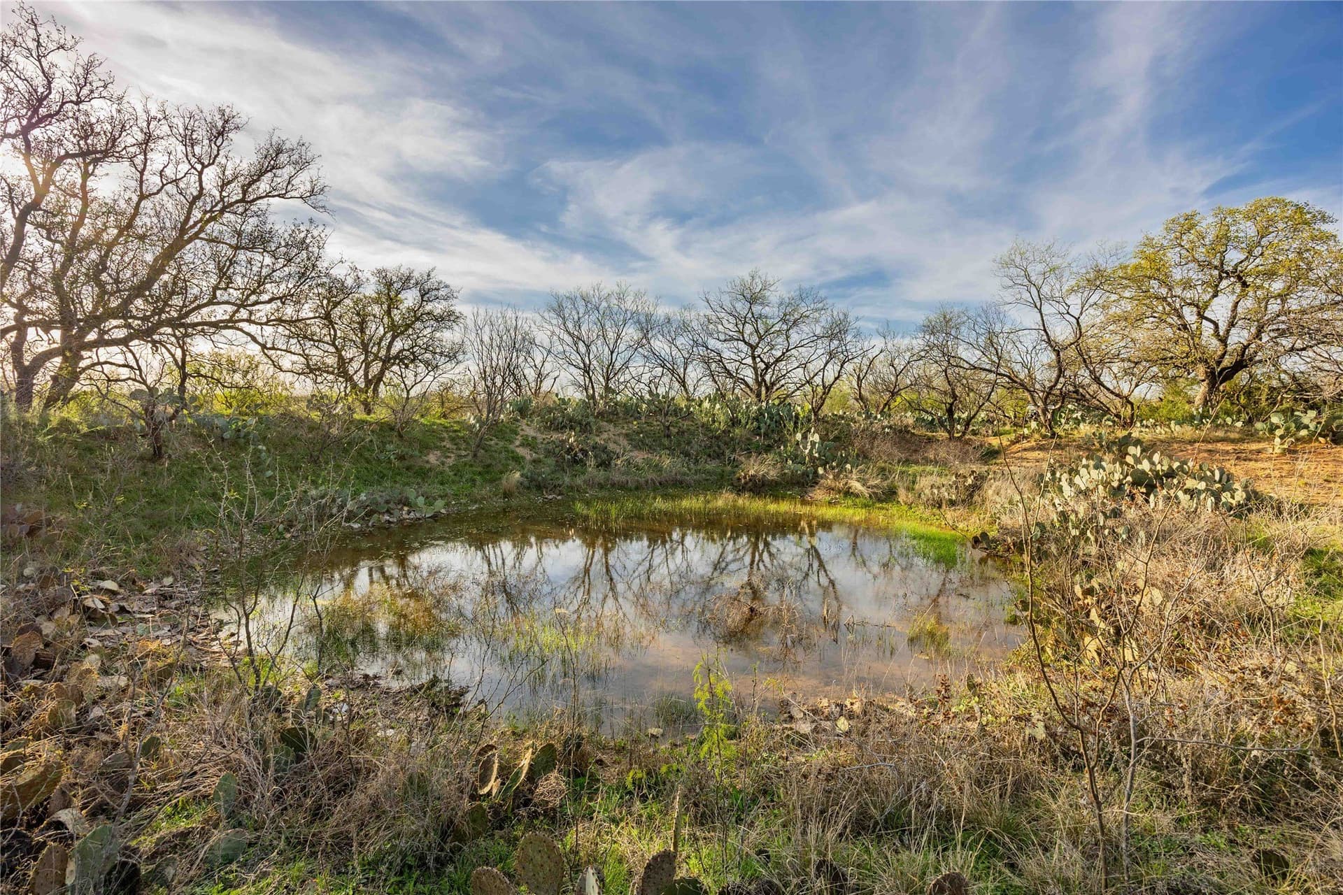 196 acres in McCulloch County - photo 28