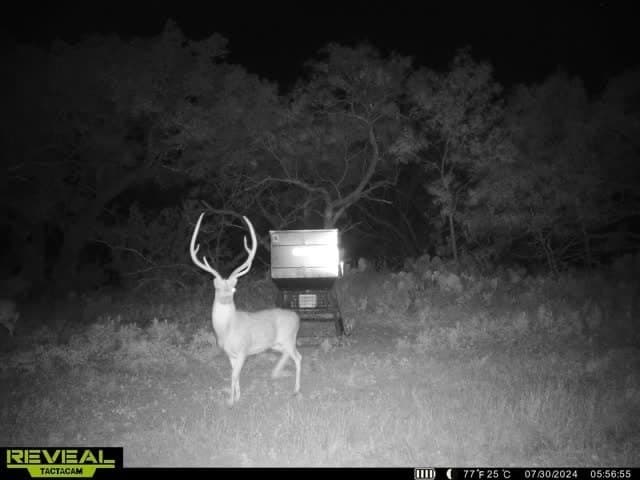 196 acres in McCulloch County - photo 35