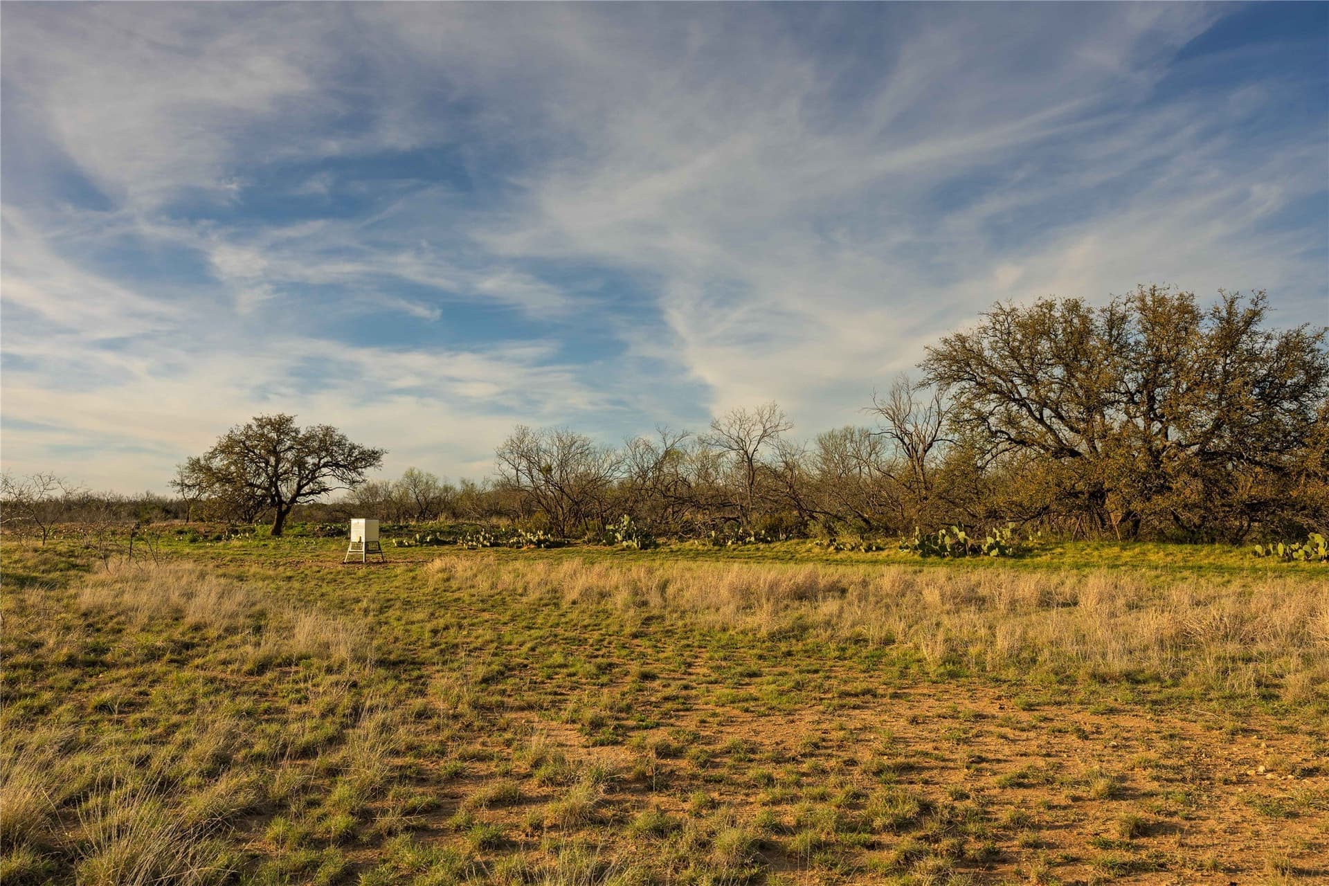 196 acres in McCulloch County - photo 15