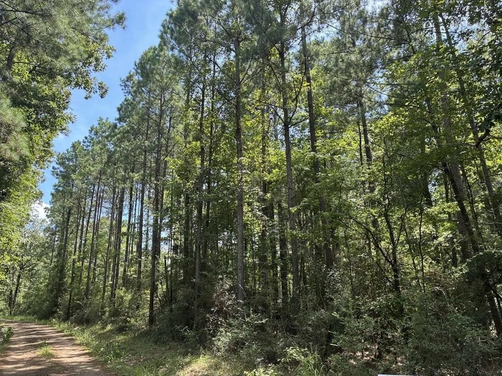 2.48 acres in Texas County - photo 7