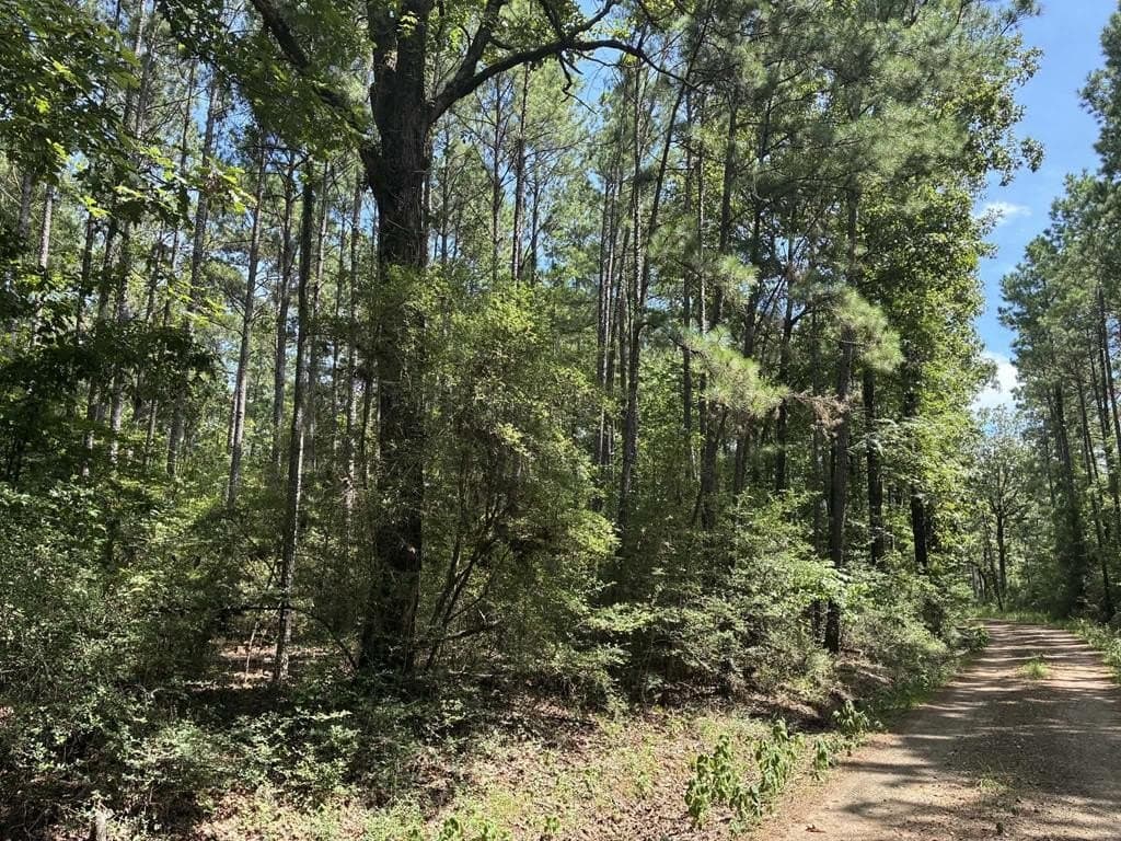 2.48 acres in Texas County - photo 9