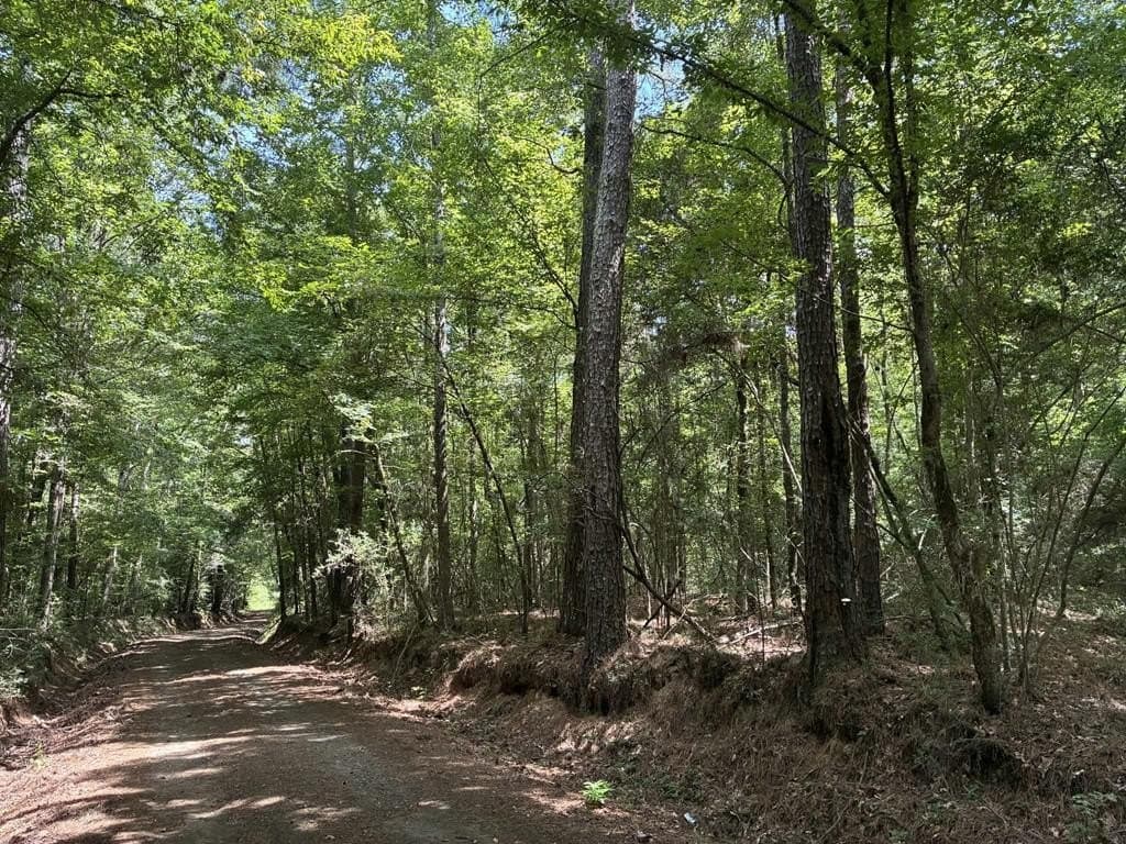 2.48 acres in Texas County - photo 5