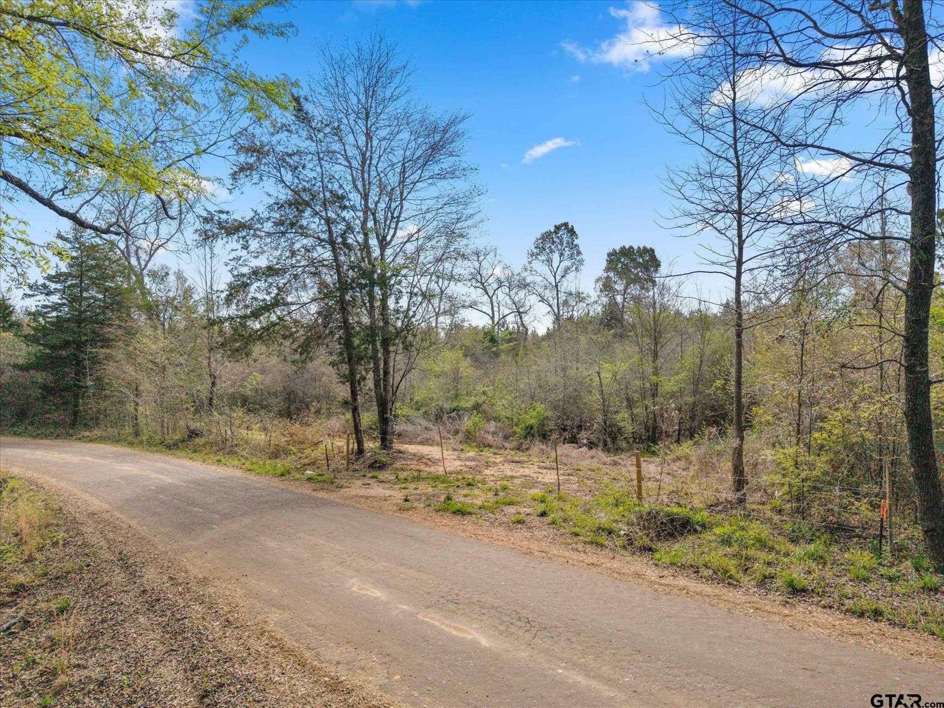 9.8 acres in Upshur County gallery image 4