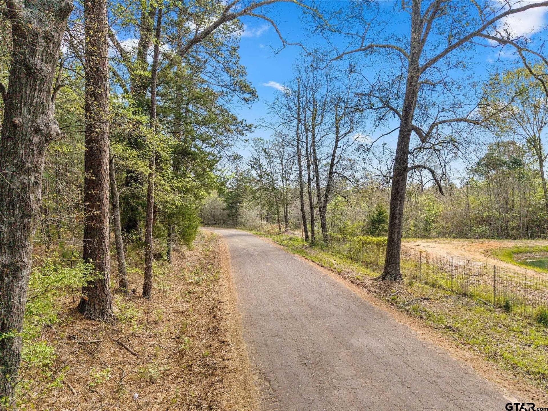 9.8 acres in Upshur County gallery image 3